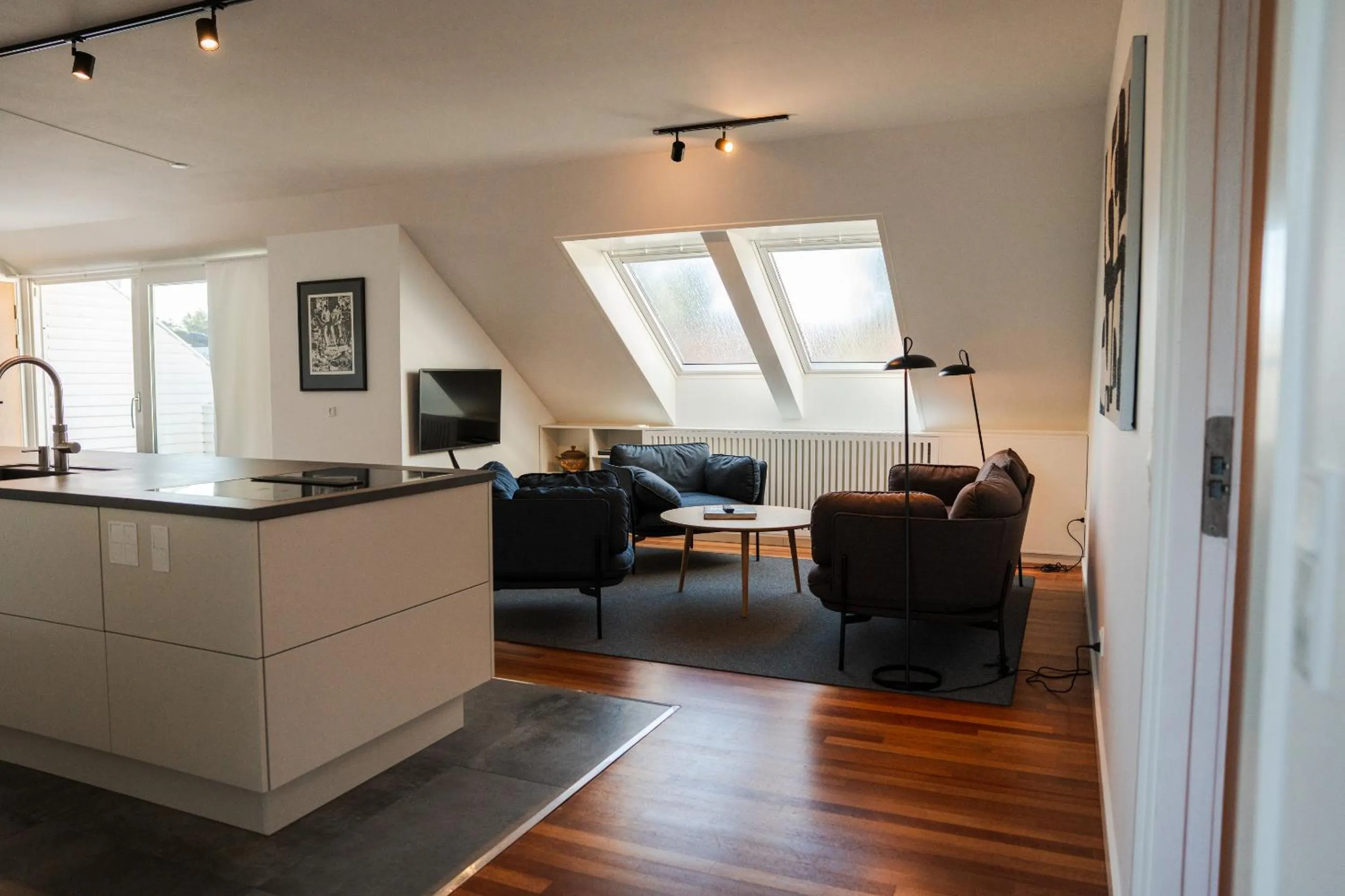 TV and multimedia in Hotel Scheelsminde