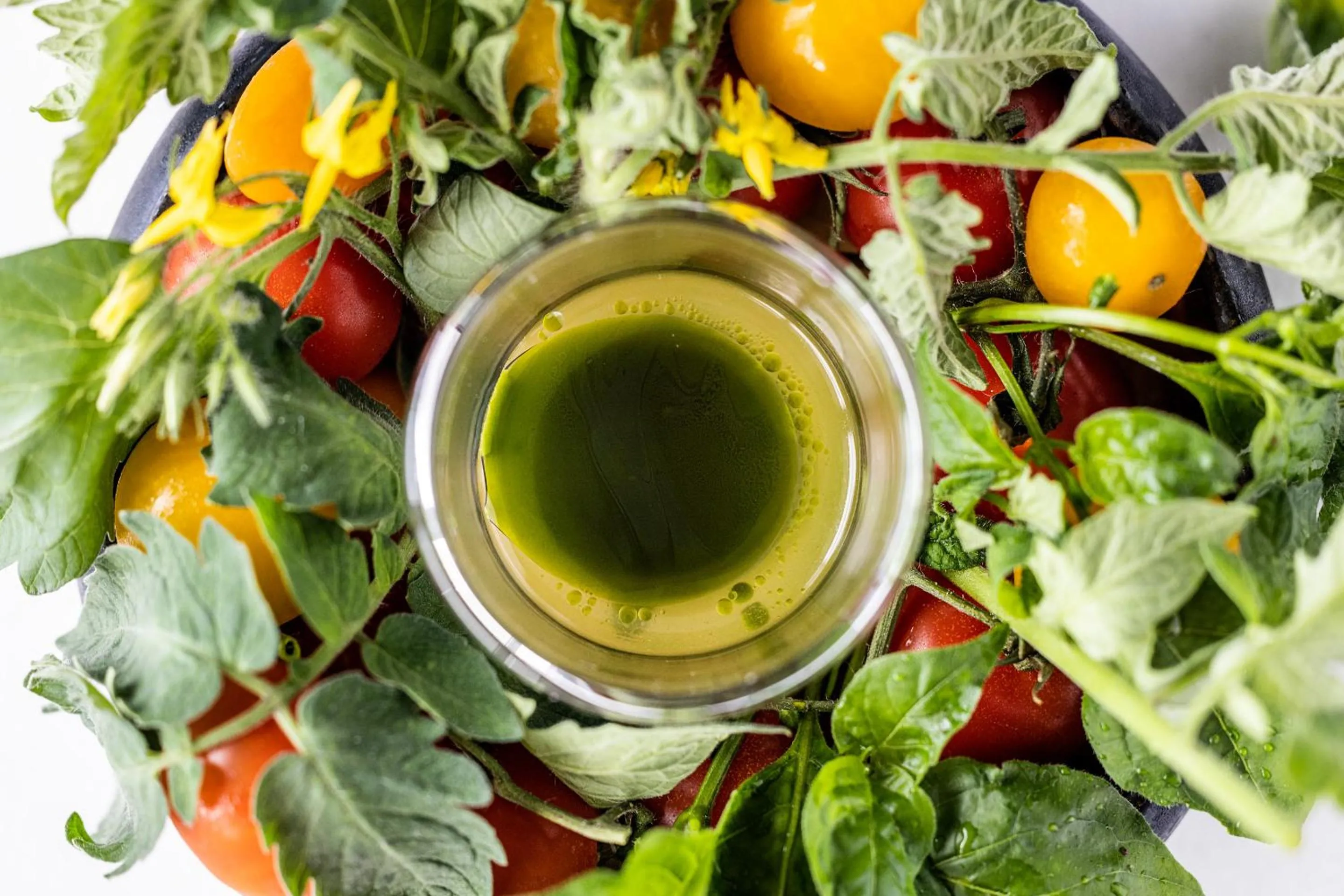 Food in Hotel Scheelsminde