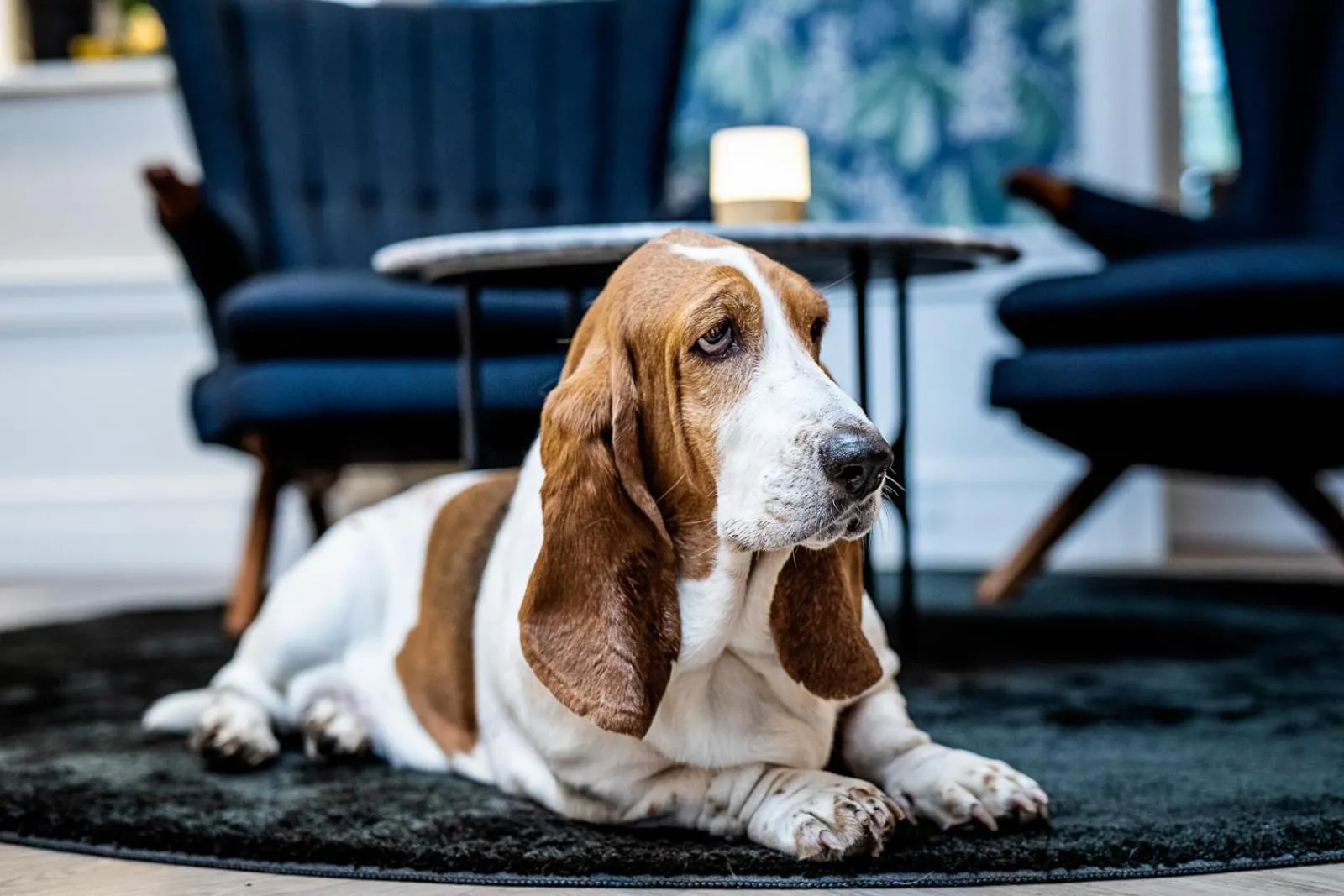 Lounge or bar in Hotel Scheelsminde