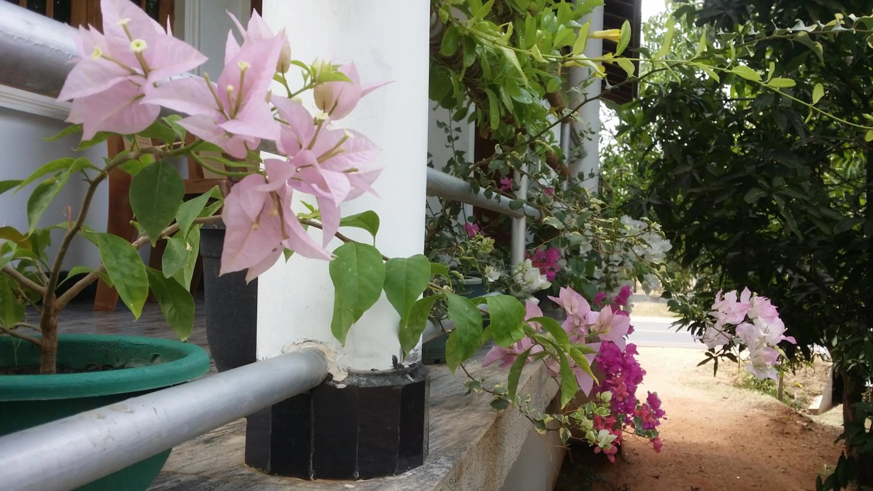 Garden in Rich Resort & Restaurant