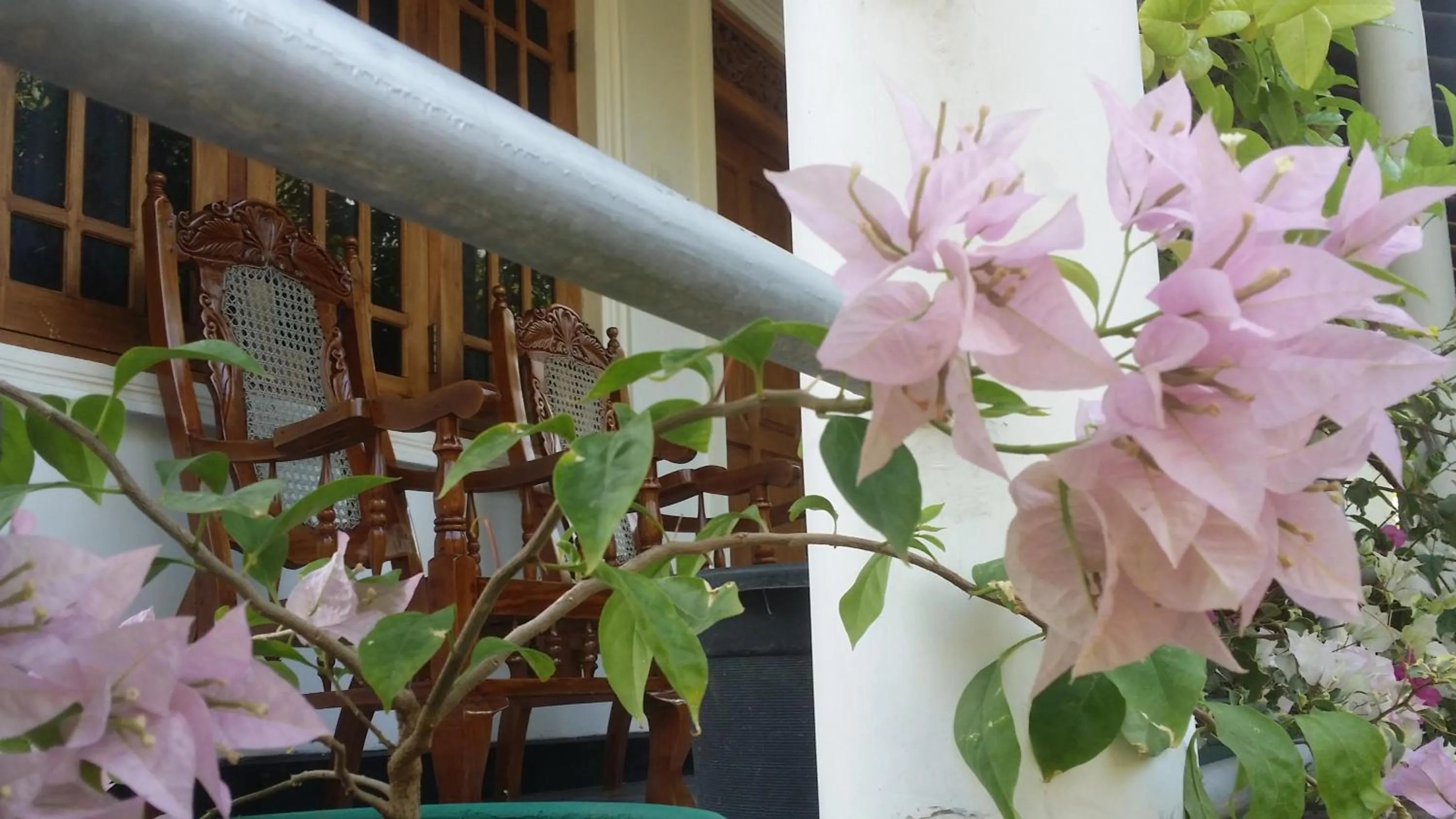 Garden in Rich Resort & Restaurant