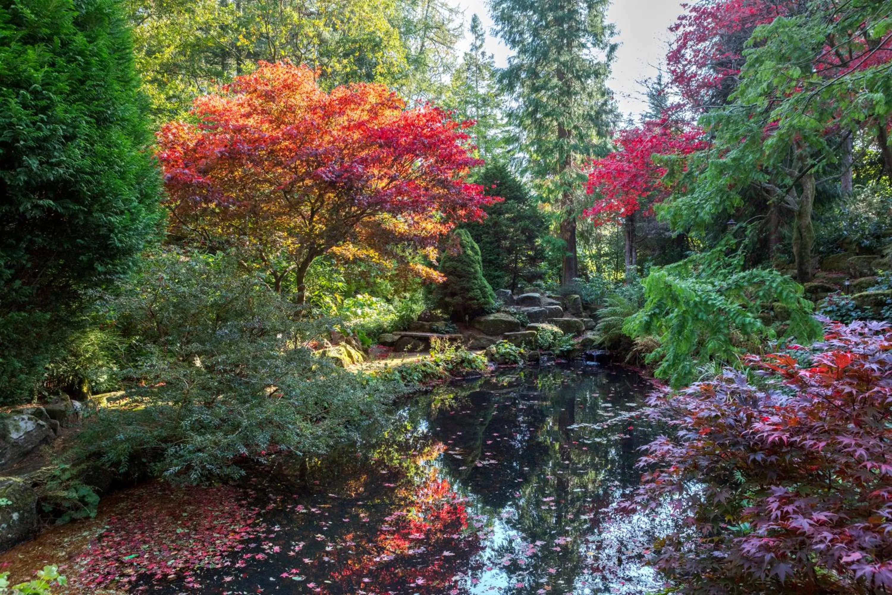 Garden in Slaley Hall Hotel, Spa & Golf Resort