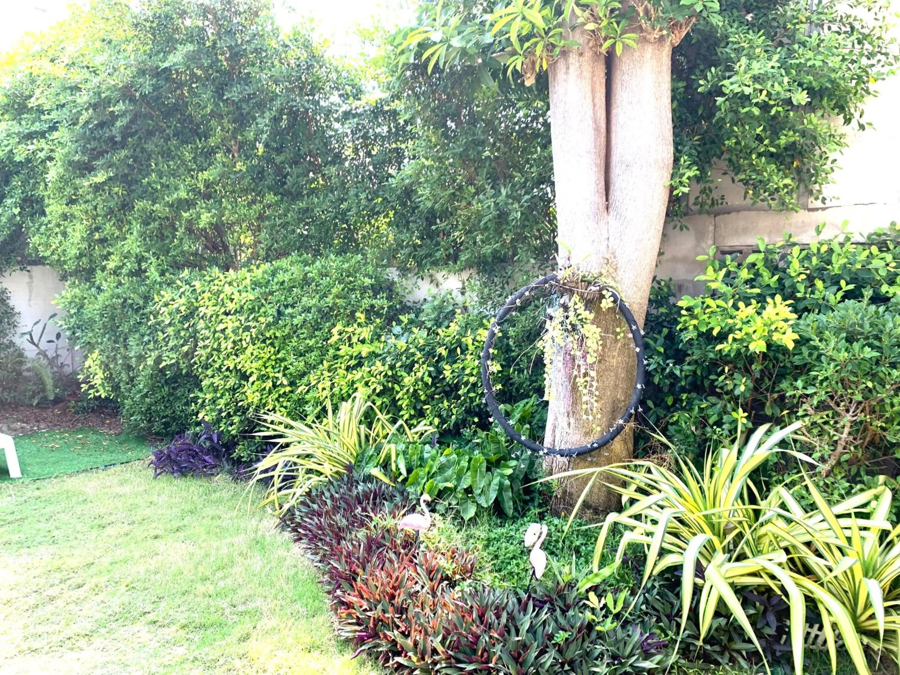 Garden in Golf-Sea-City Guest House