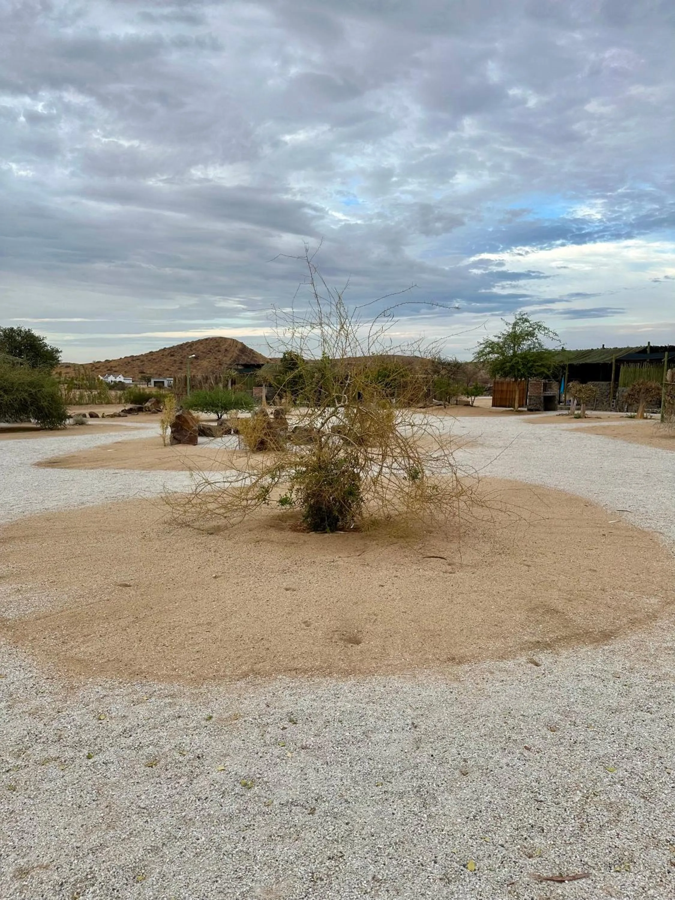 Daureb Isib Campsite and B&B