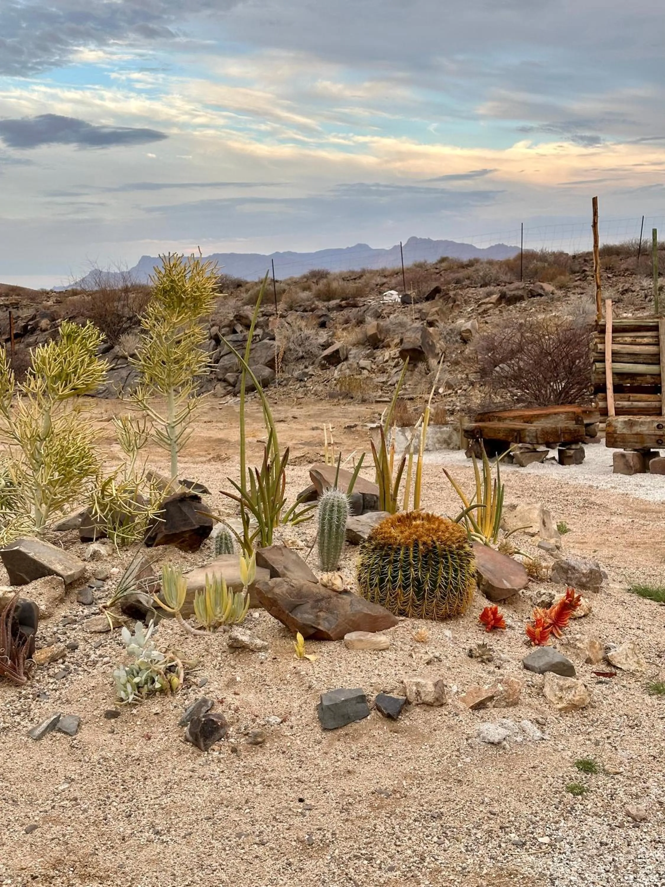 Daureb Isib Campsite and B&B