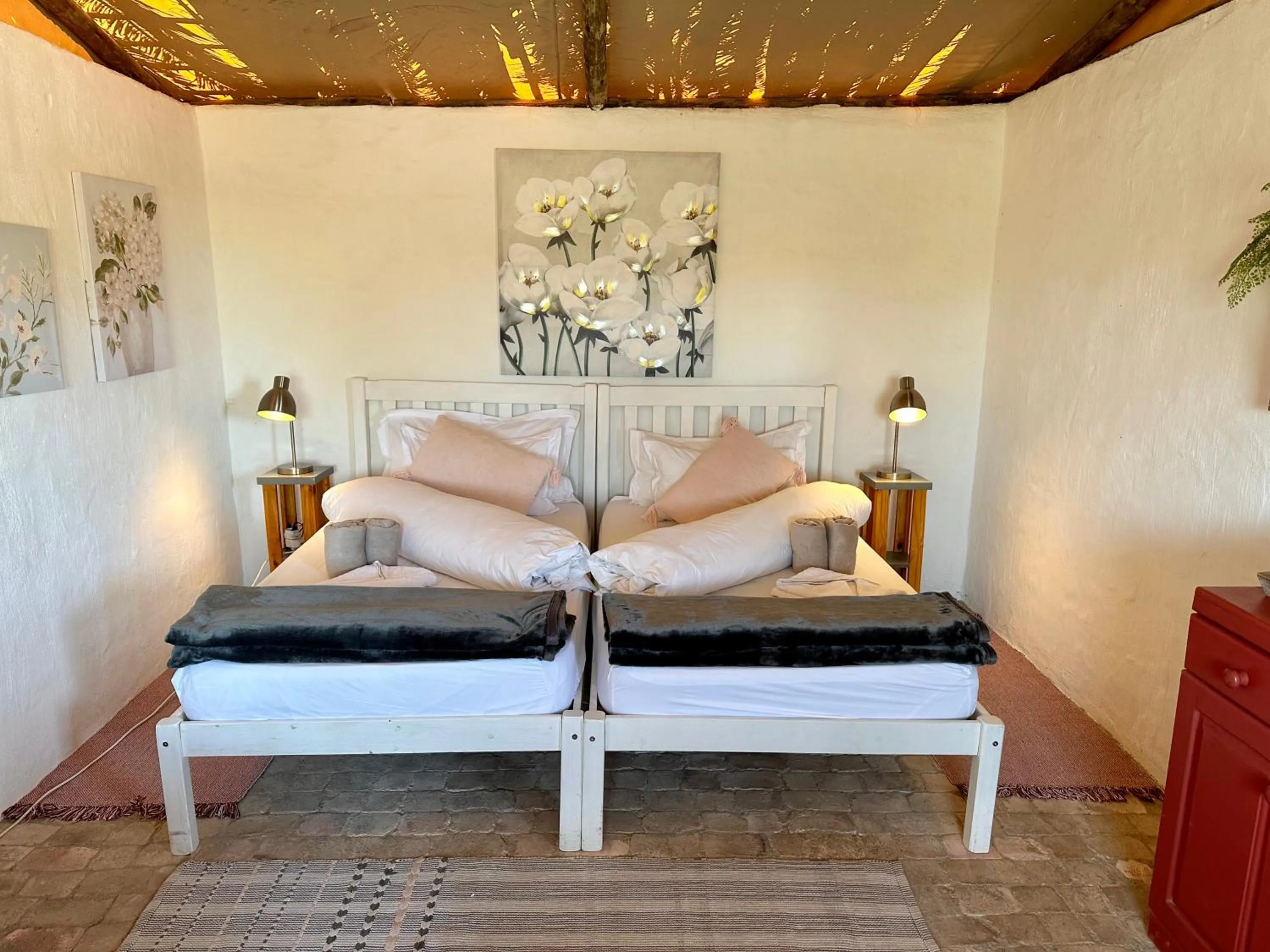 Bed in Daureb Isib Campsite and B&B