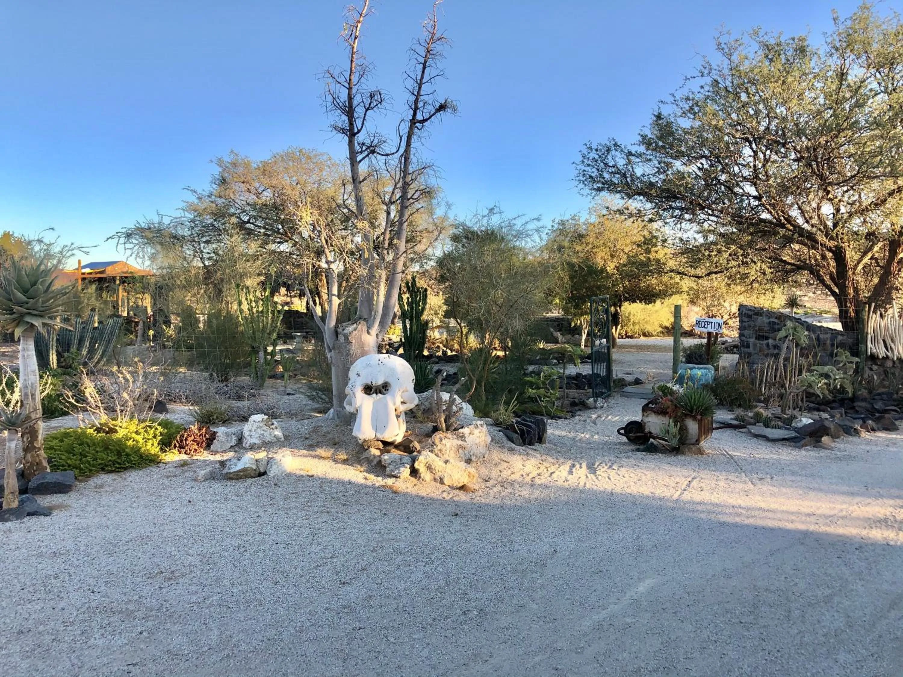 Natural landscape in Daureb Isib Campsite and B&B