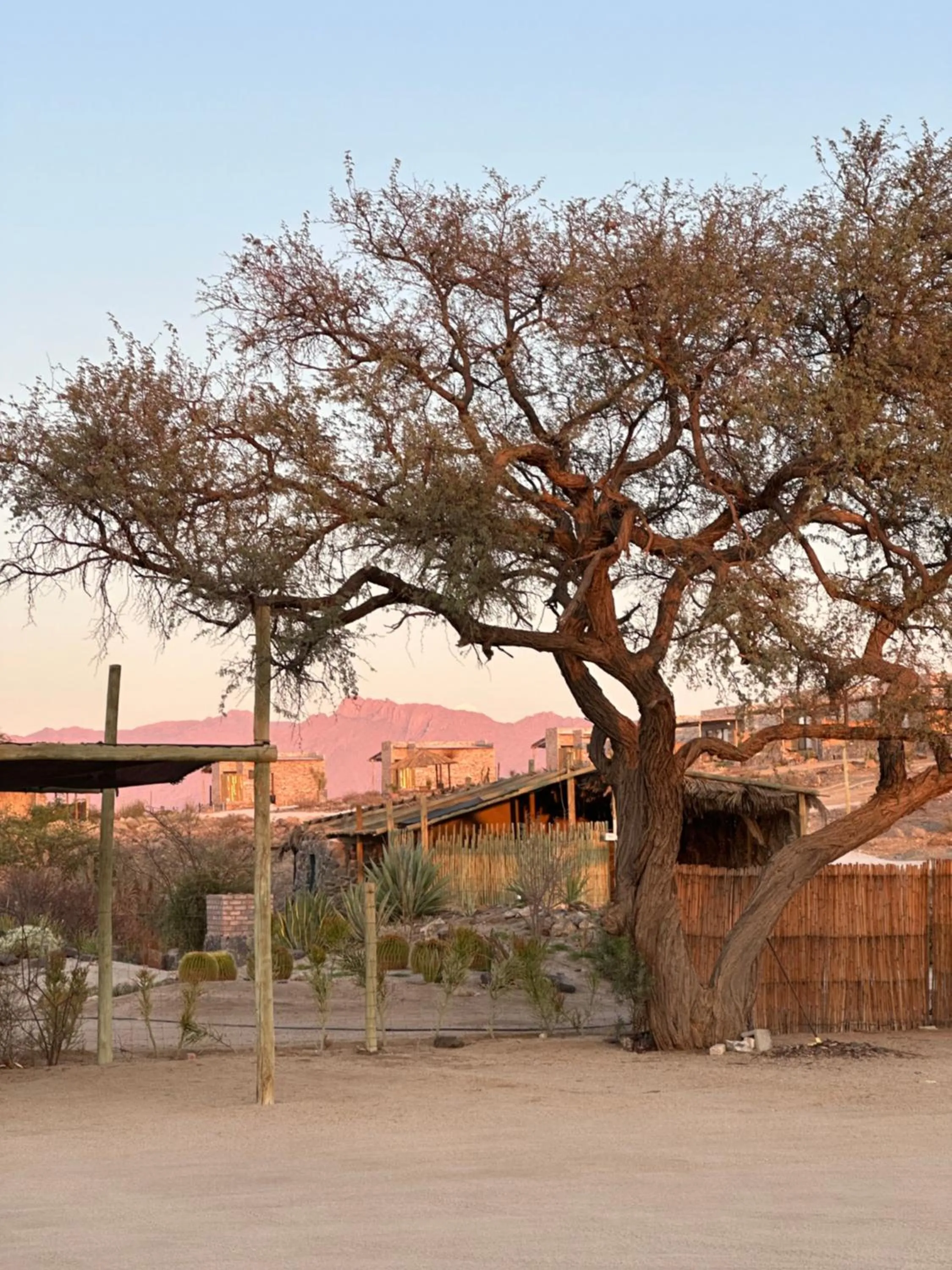 Daureb Isib Campsite and B&B