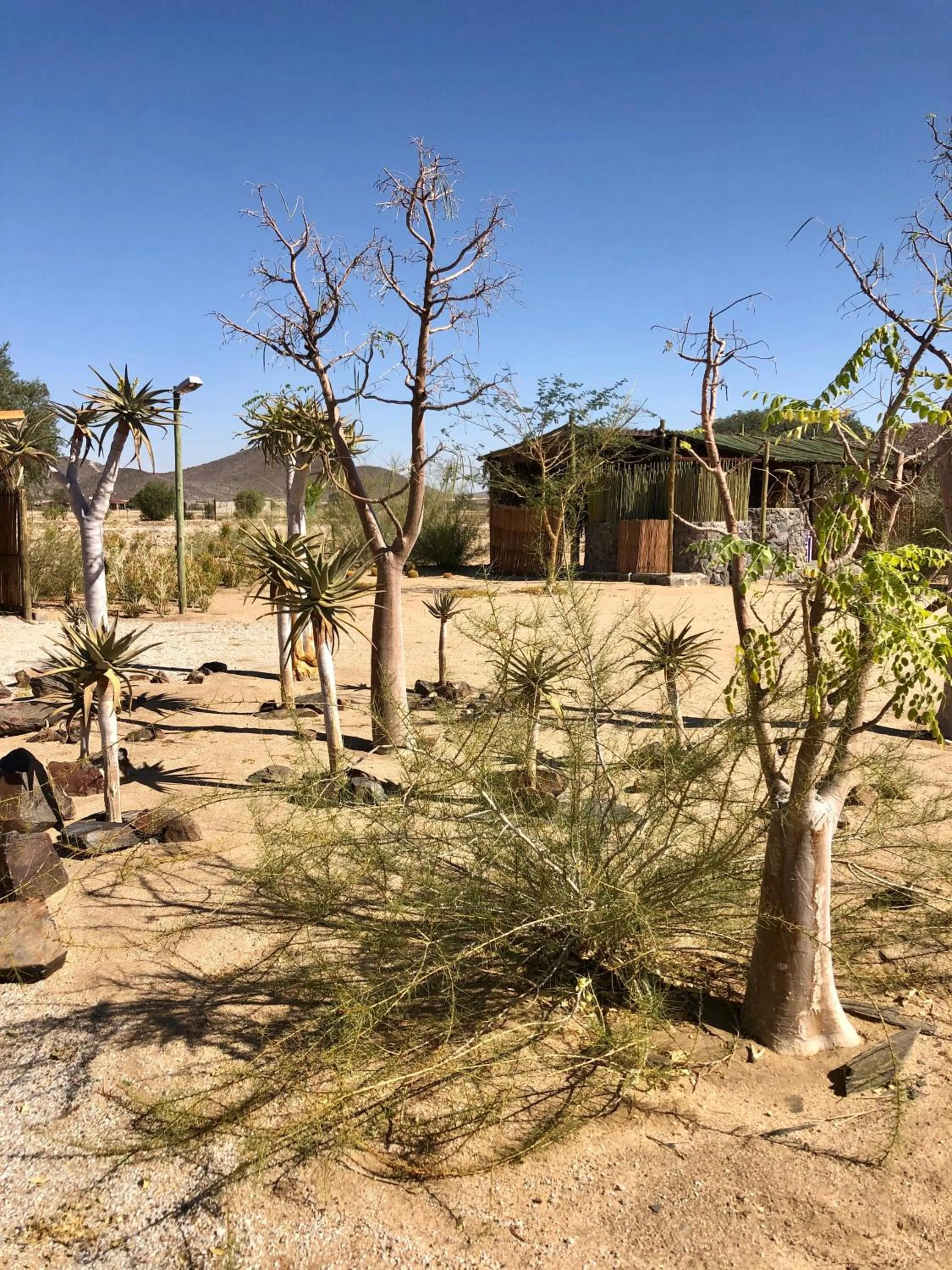 Natural landscape in Daureb Isib Campsite and B&B