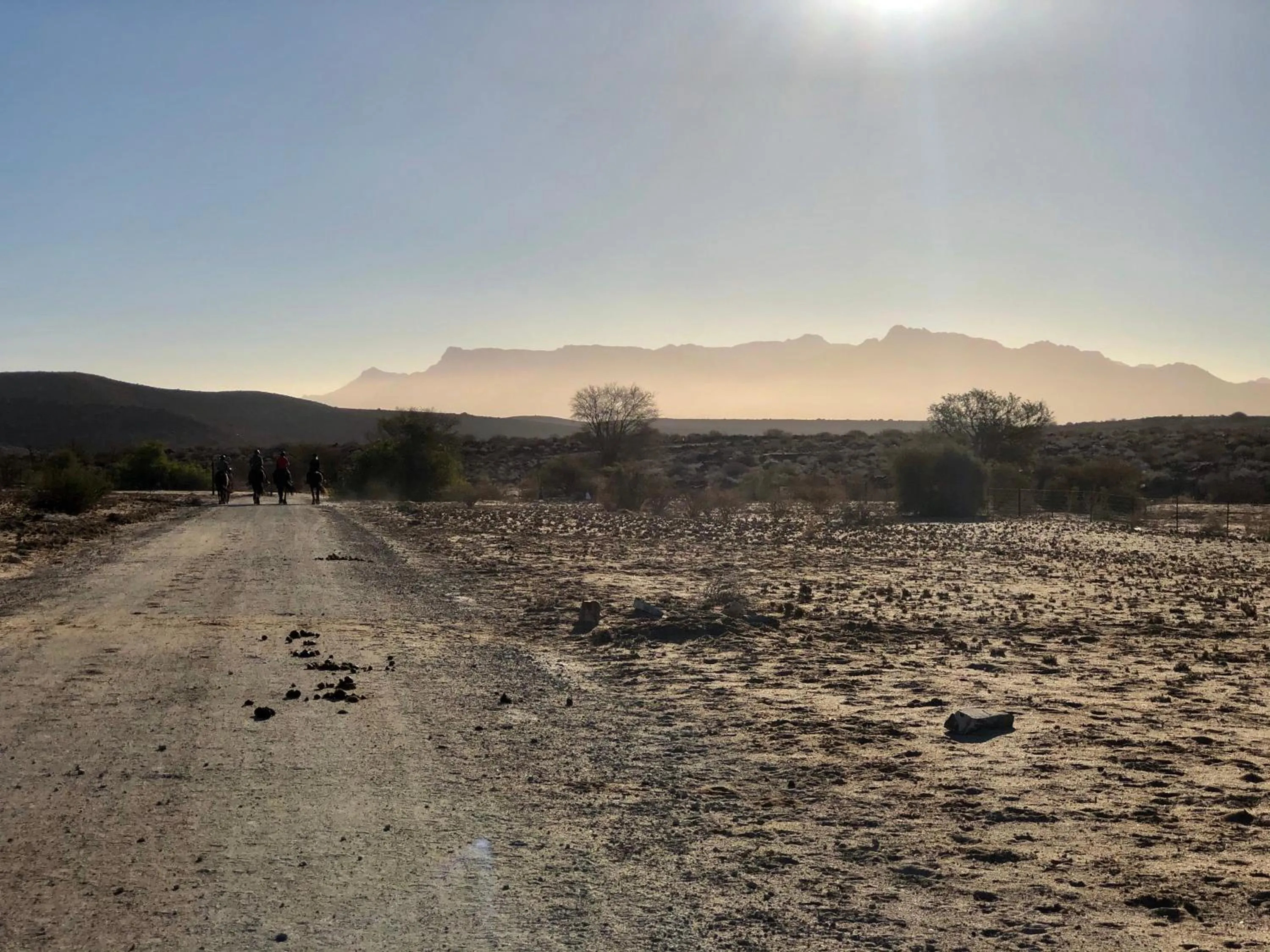 Daureb Isib Campsite and B&B