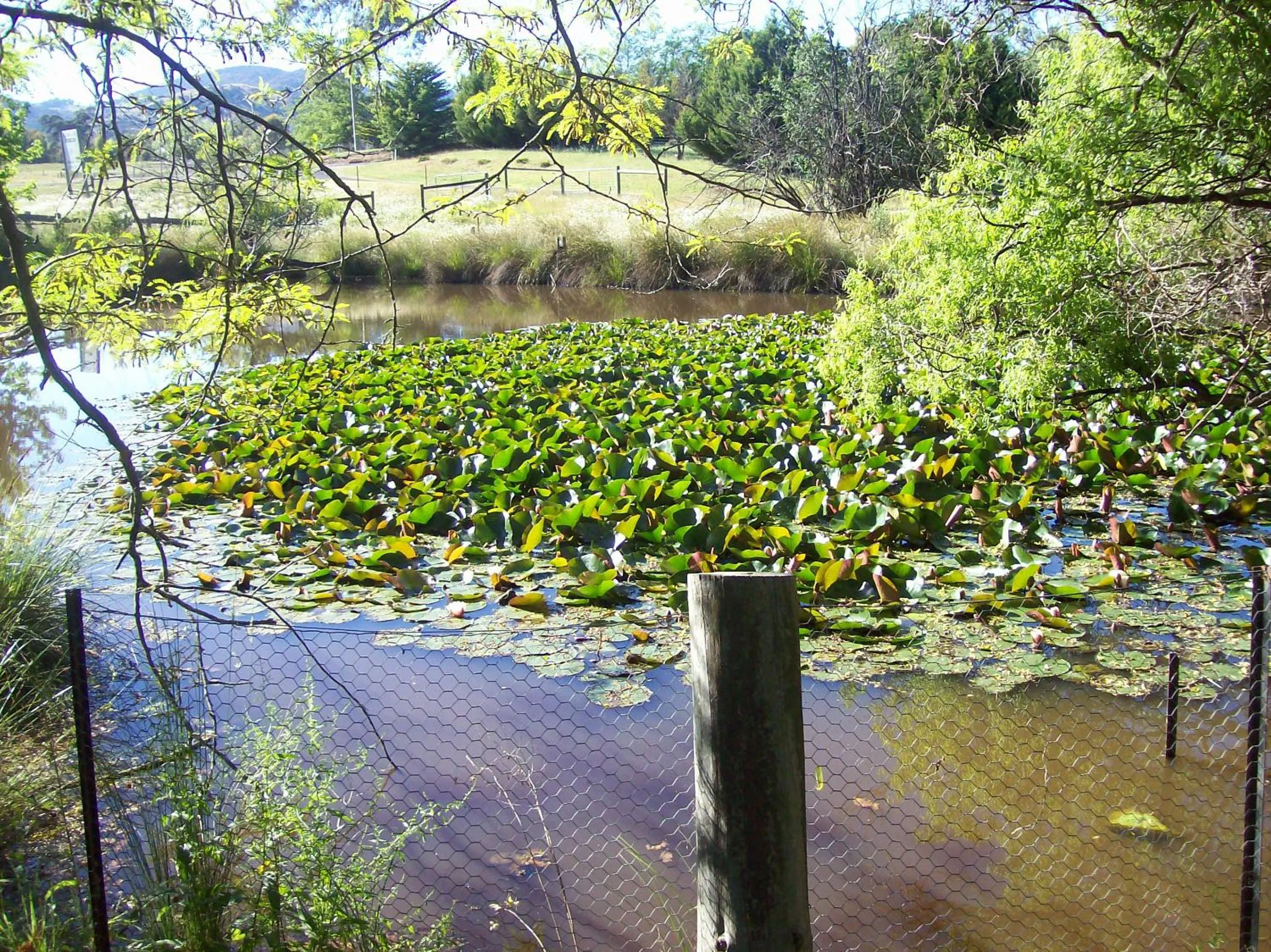 Lake view in Colonial Inn Guest Rooms