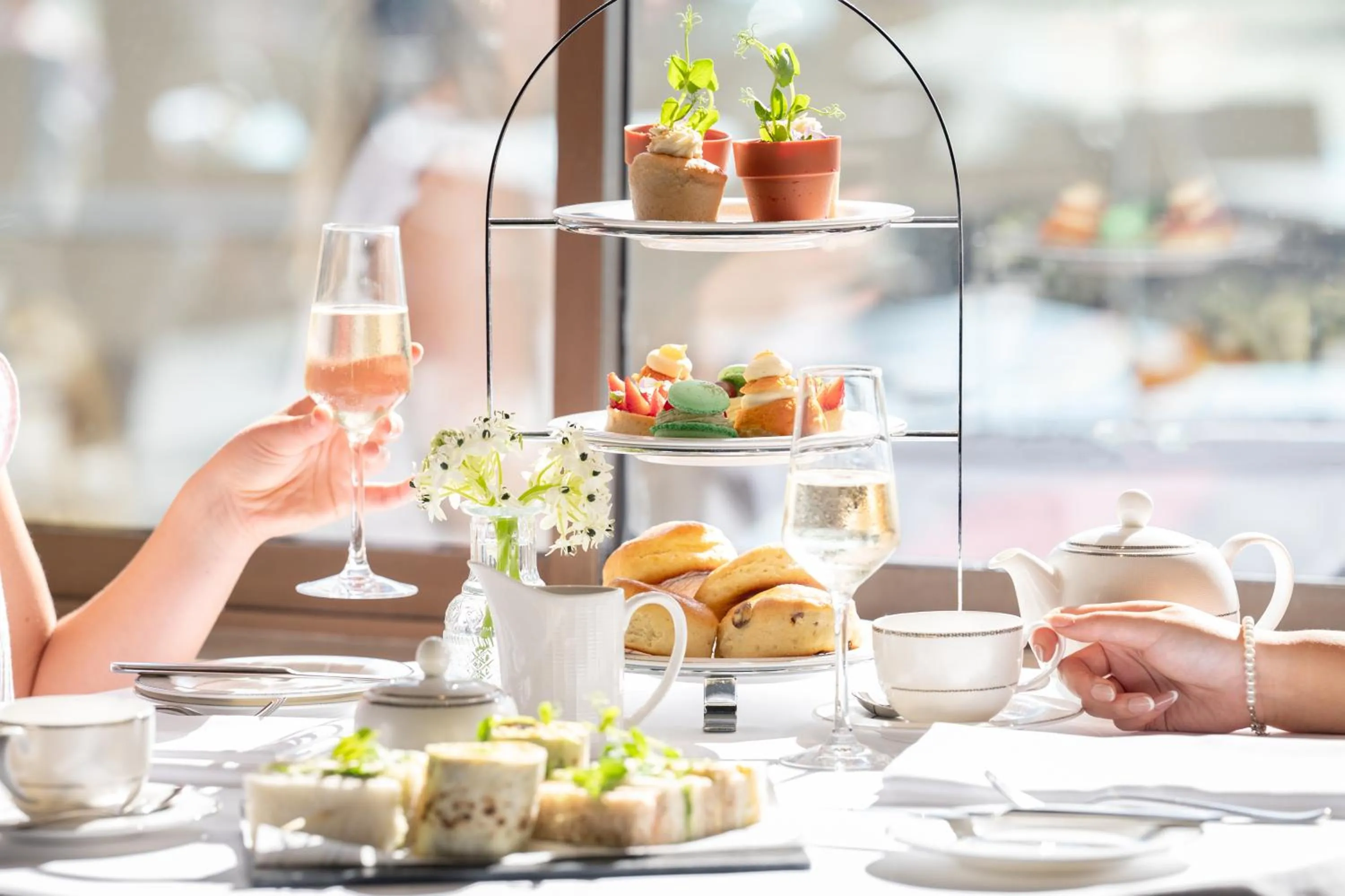 Food and drinks in Grand Jersey Hotel and Spa