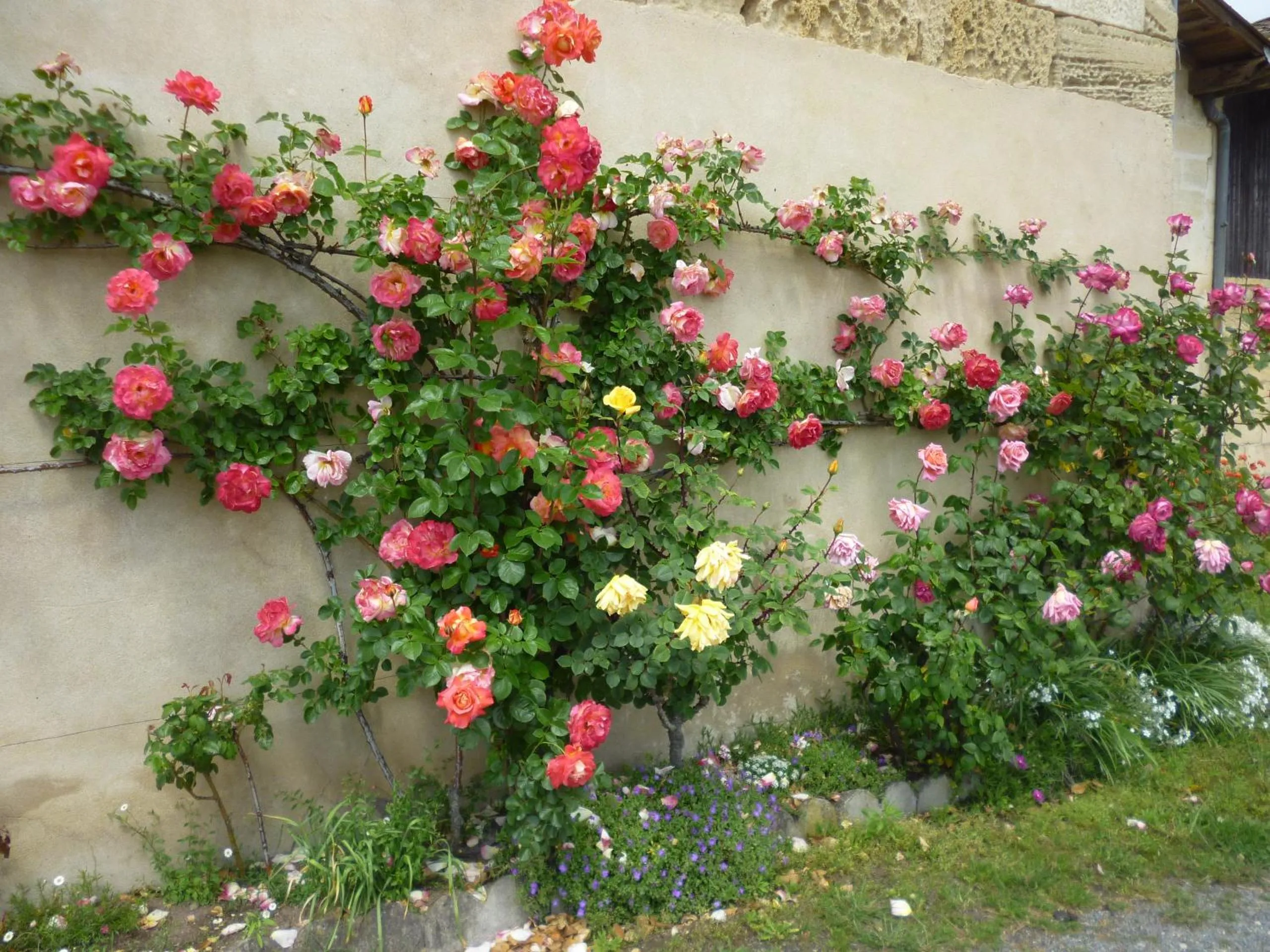 View (from property/room) in Le Clos des Rosiers