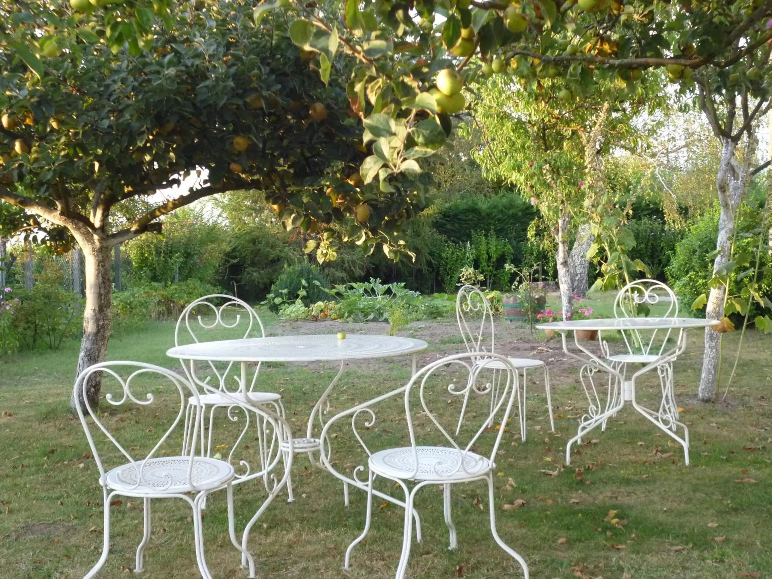 Garden in Le Clos des Rosiers