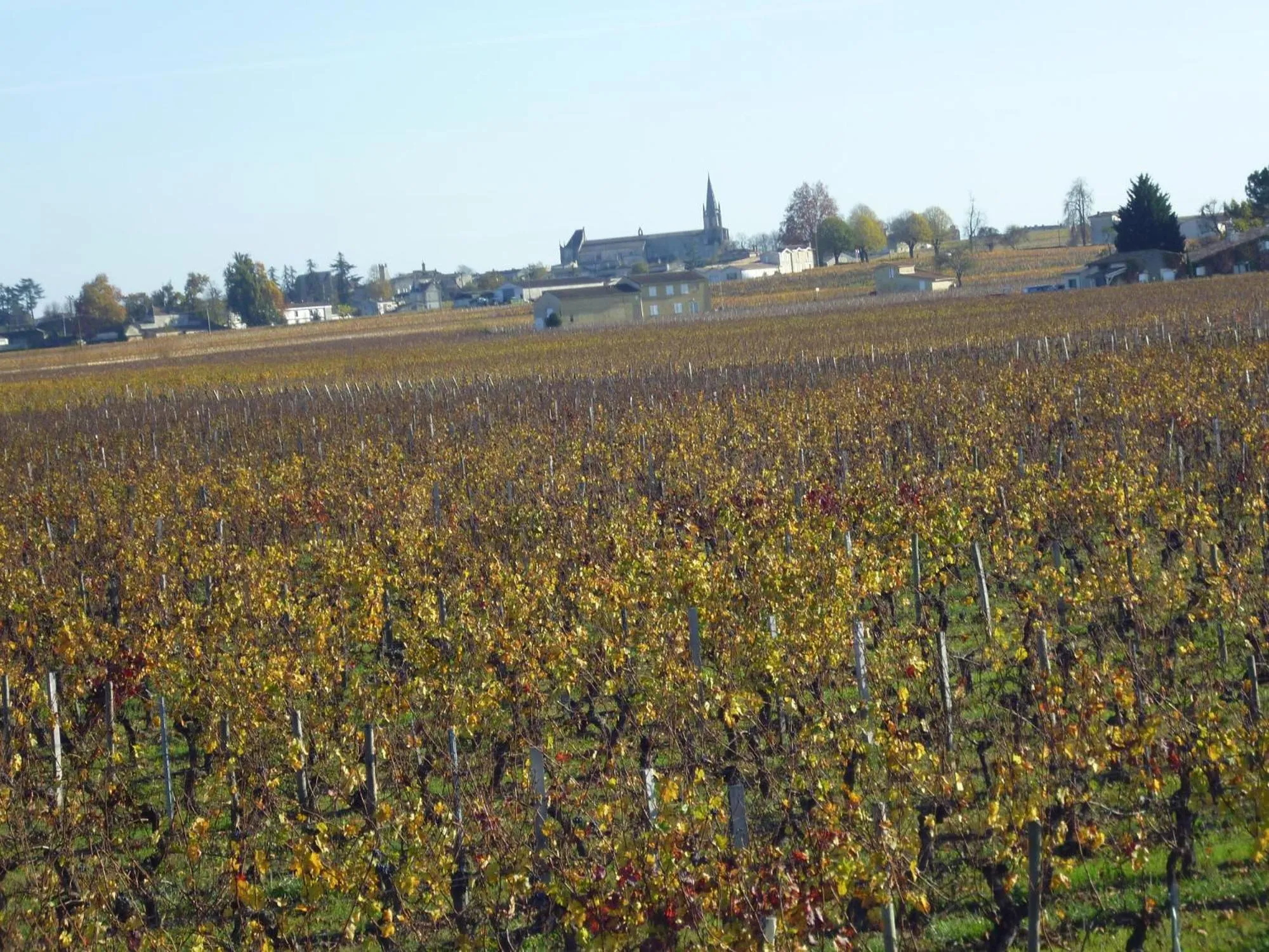 City view in Le Clos des Rosiers