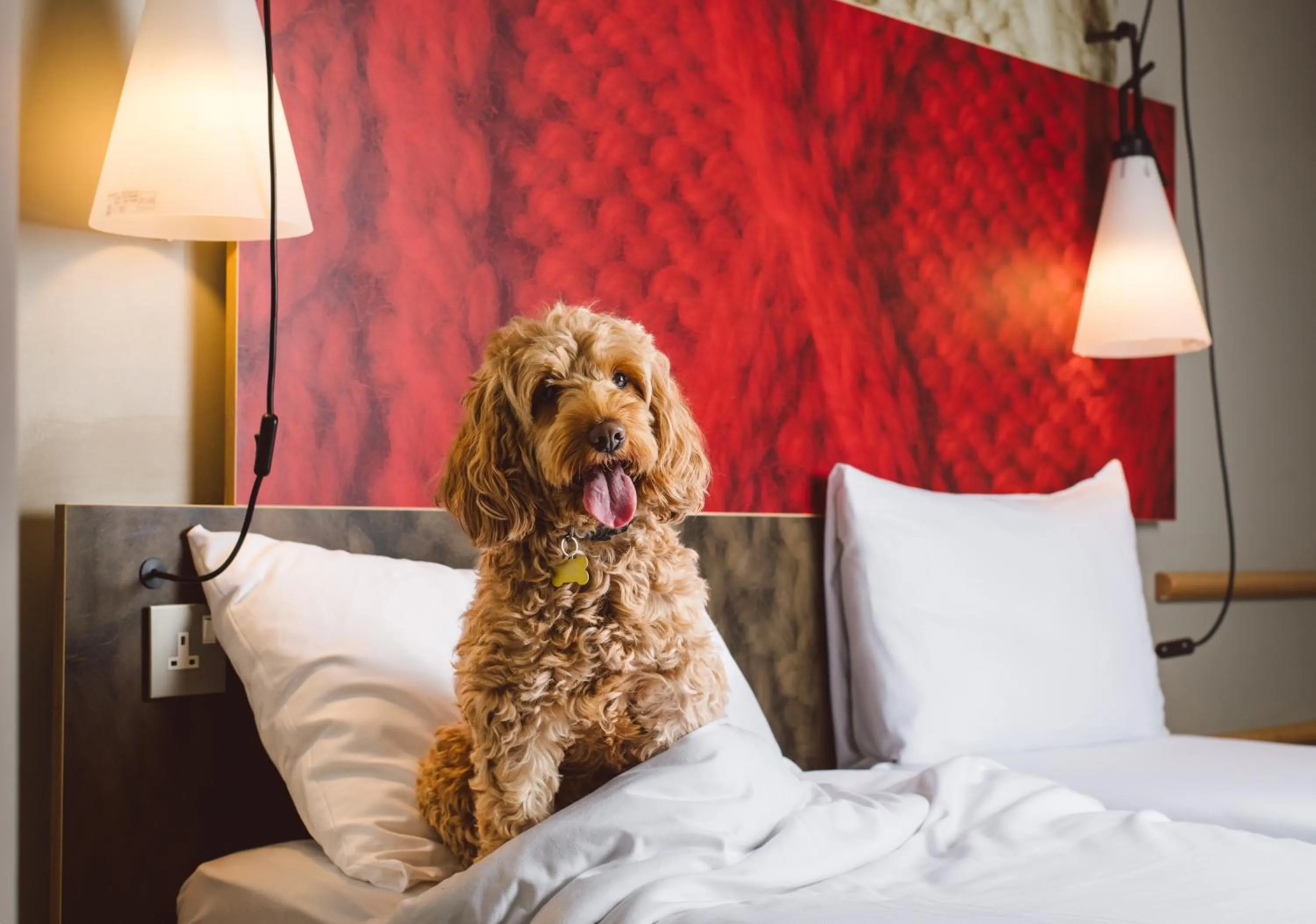 Bed in ibis London Excel-Docklands