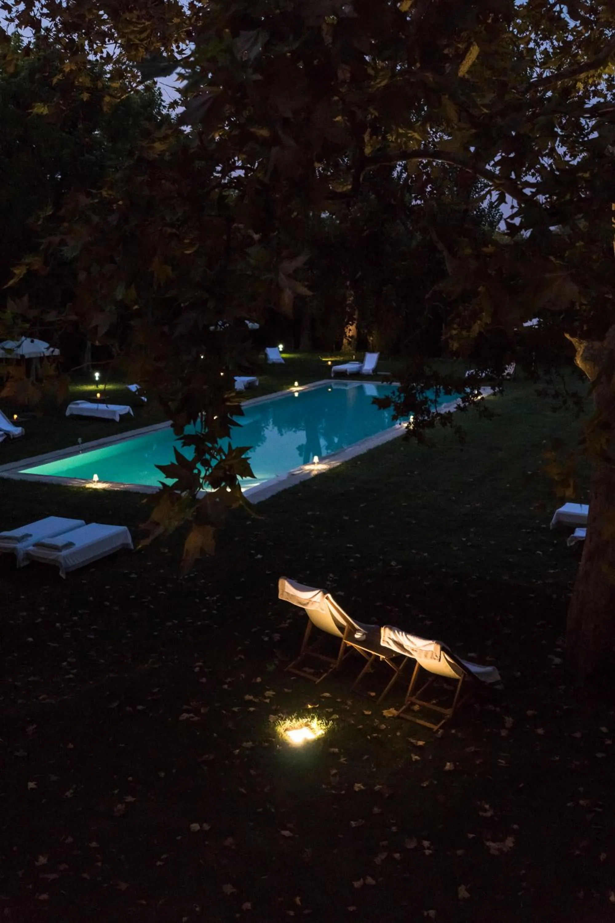 Swimming pool in La Barchessa di Villa Pisani