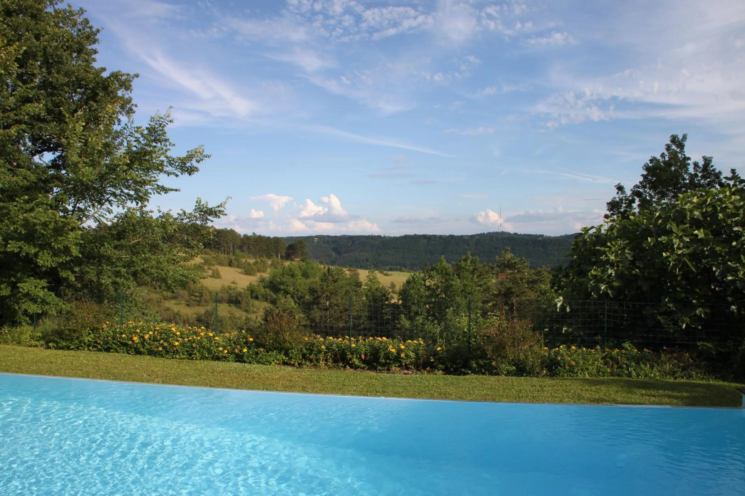 Swimming pool in Maison Olea