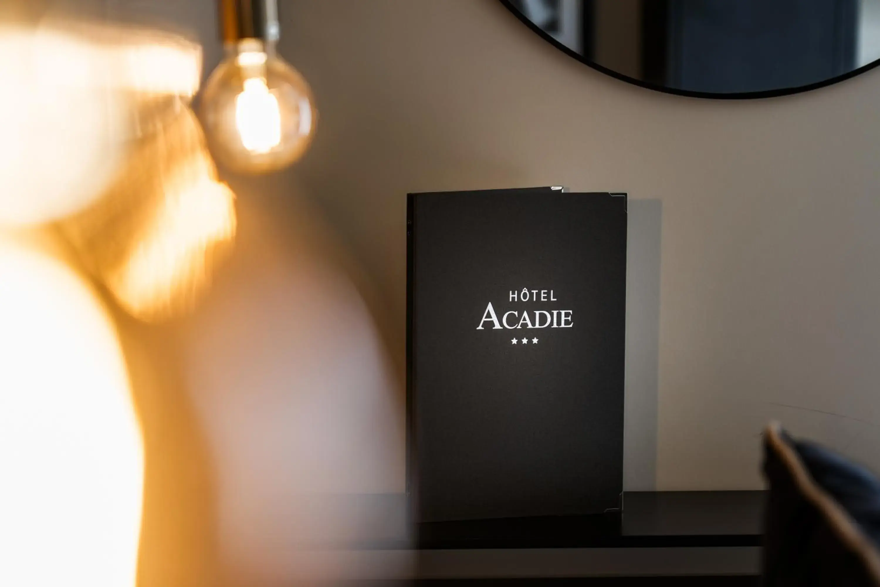 Double Room in Hotel Acadie Eragny Double Room in Hotel Acadie Eragny