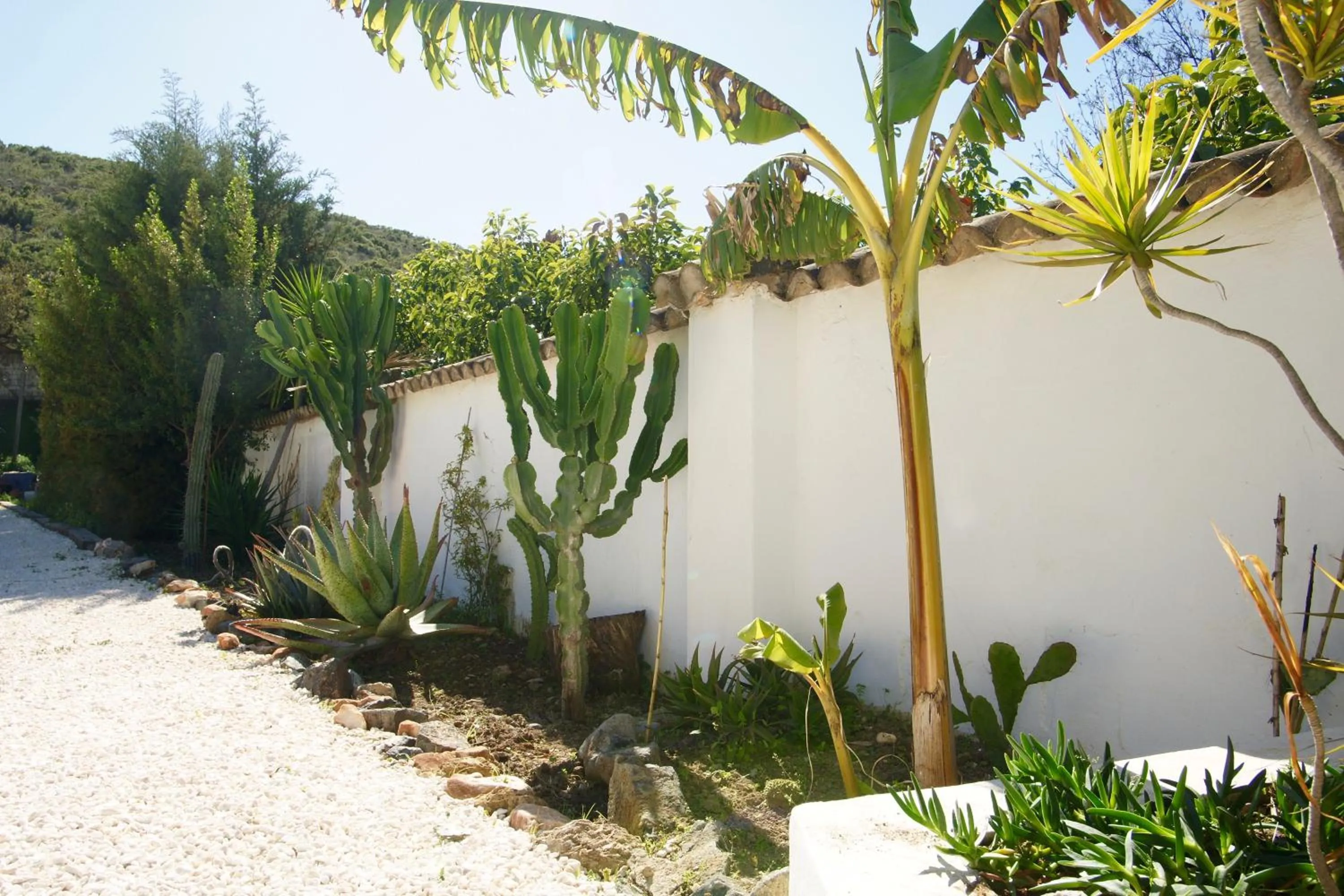 Garden in Finca Mil Estrellas