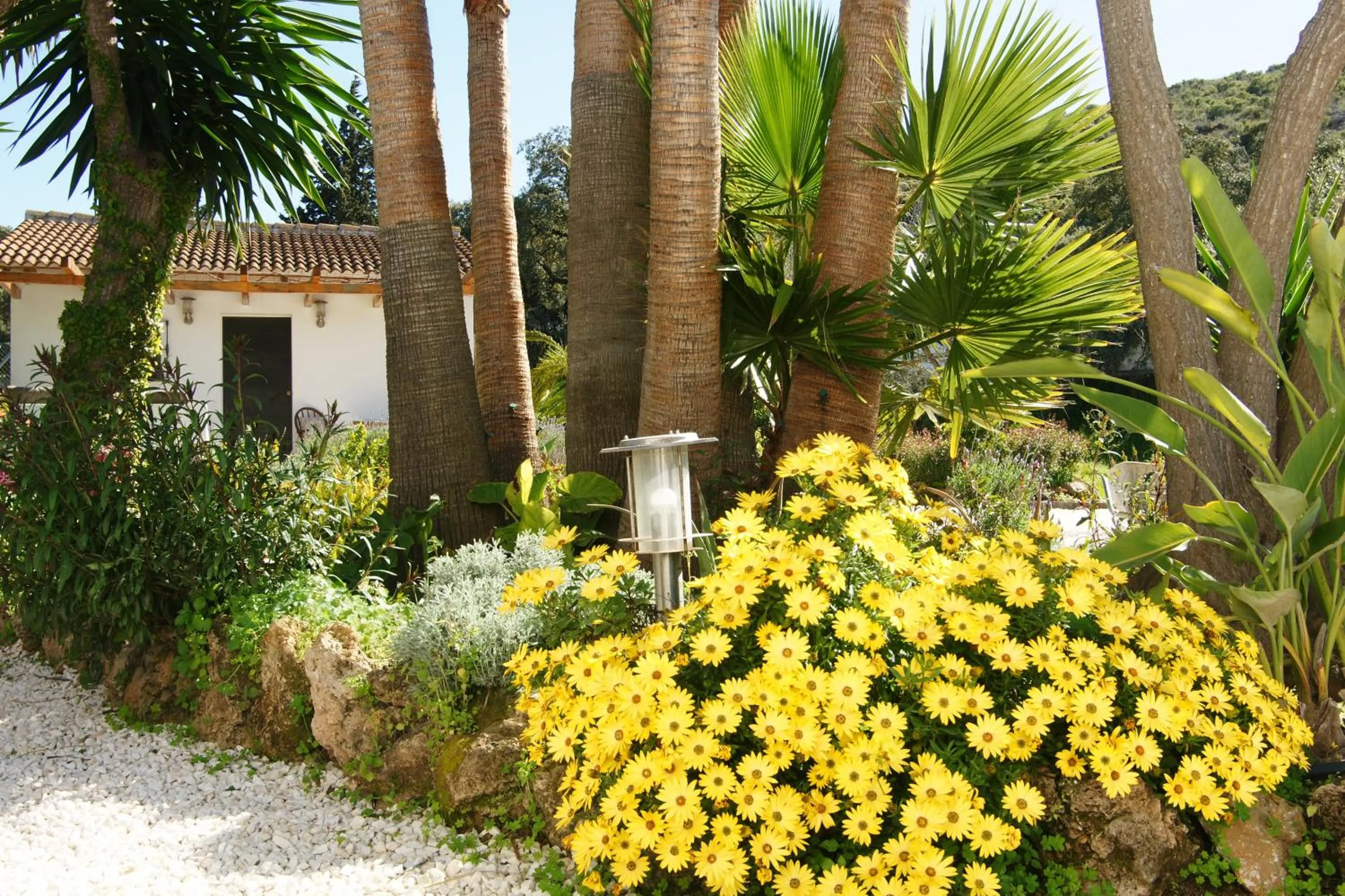 Garden in Finca Mil Estrellas