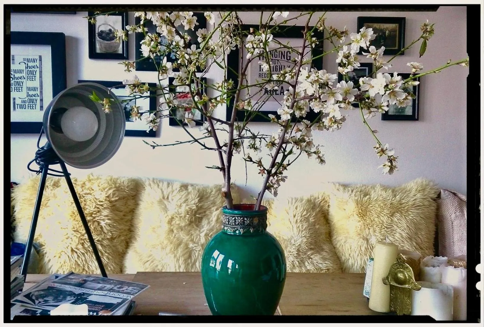 Communal kitchen in Finca Mil Estrellas
