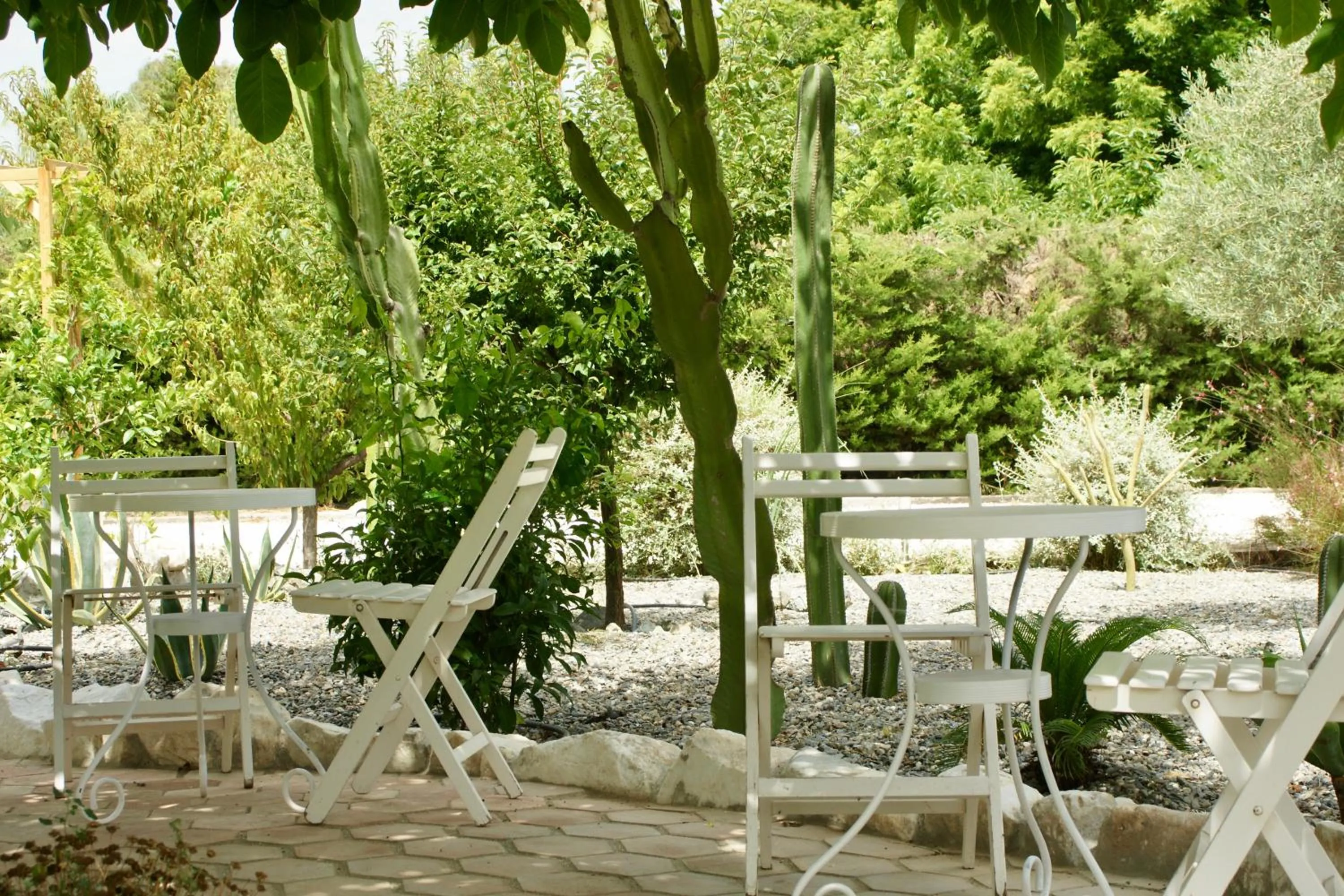 Garden in Finca Mil Estrellas