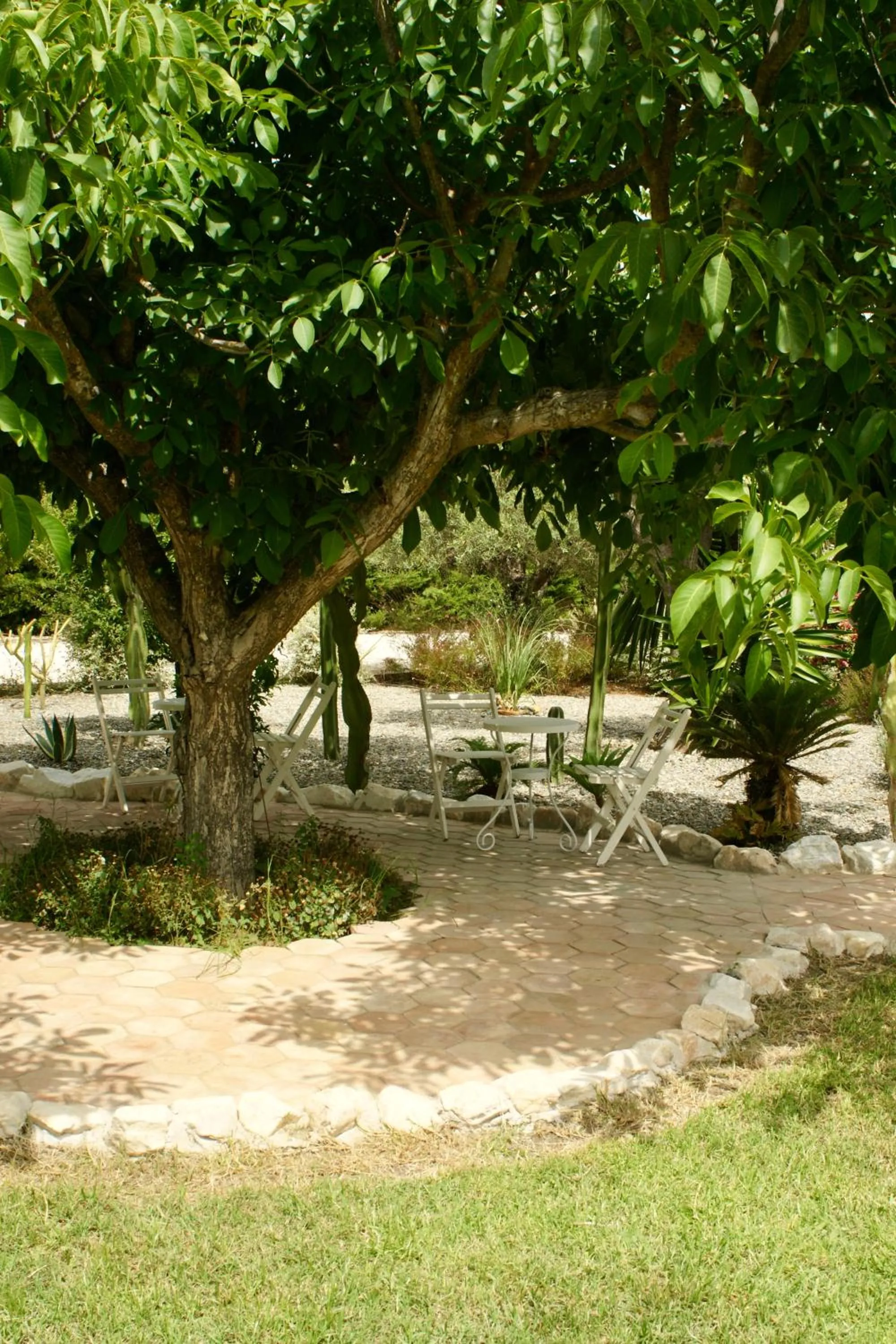 Garden in Finca Mil Estrellas