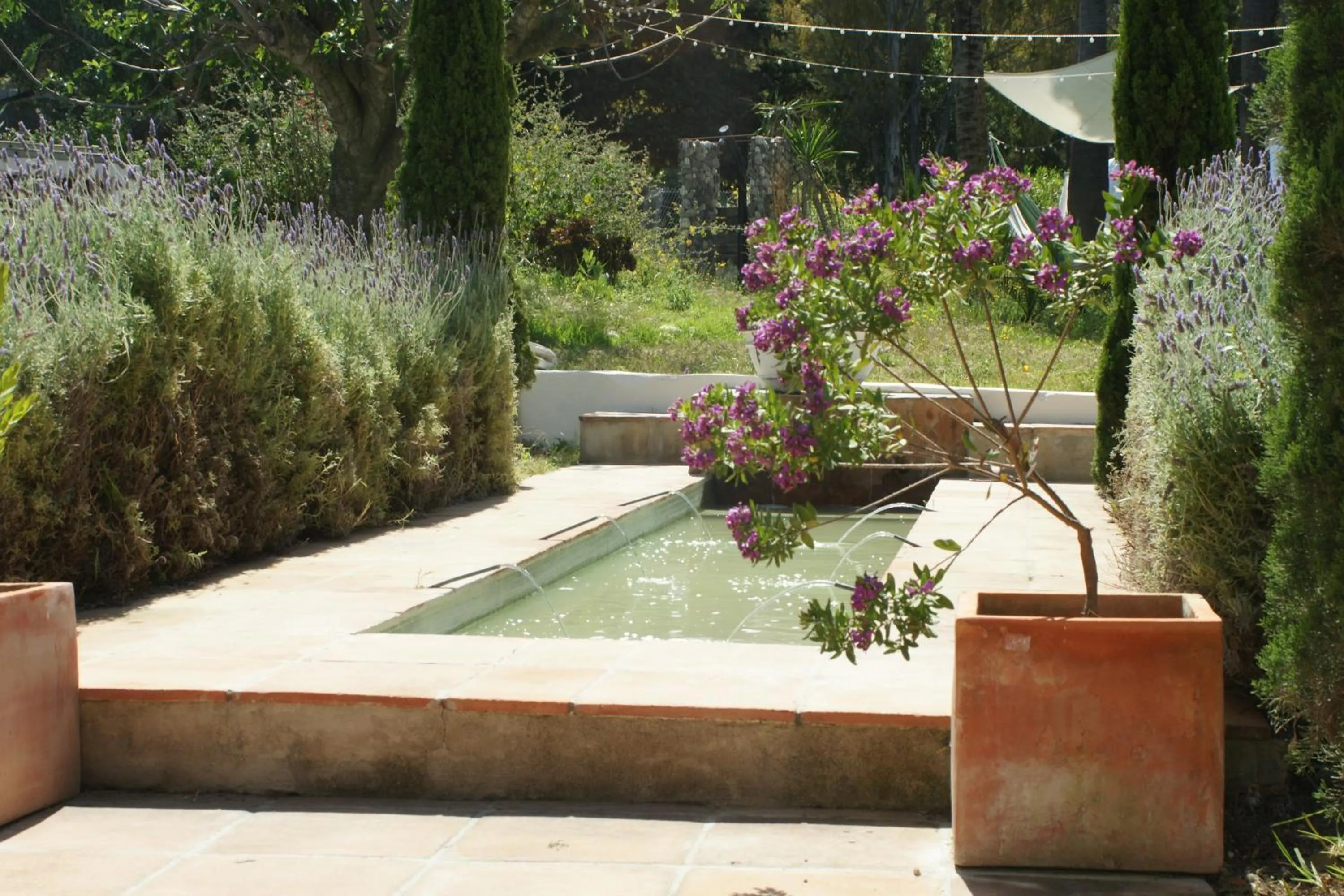 Garden in Finca Mil Estrellas