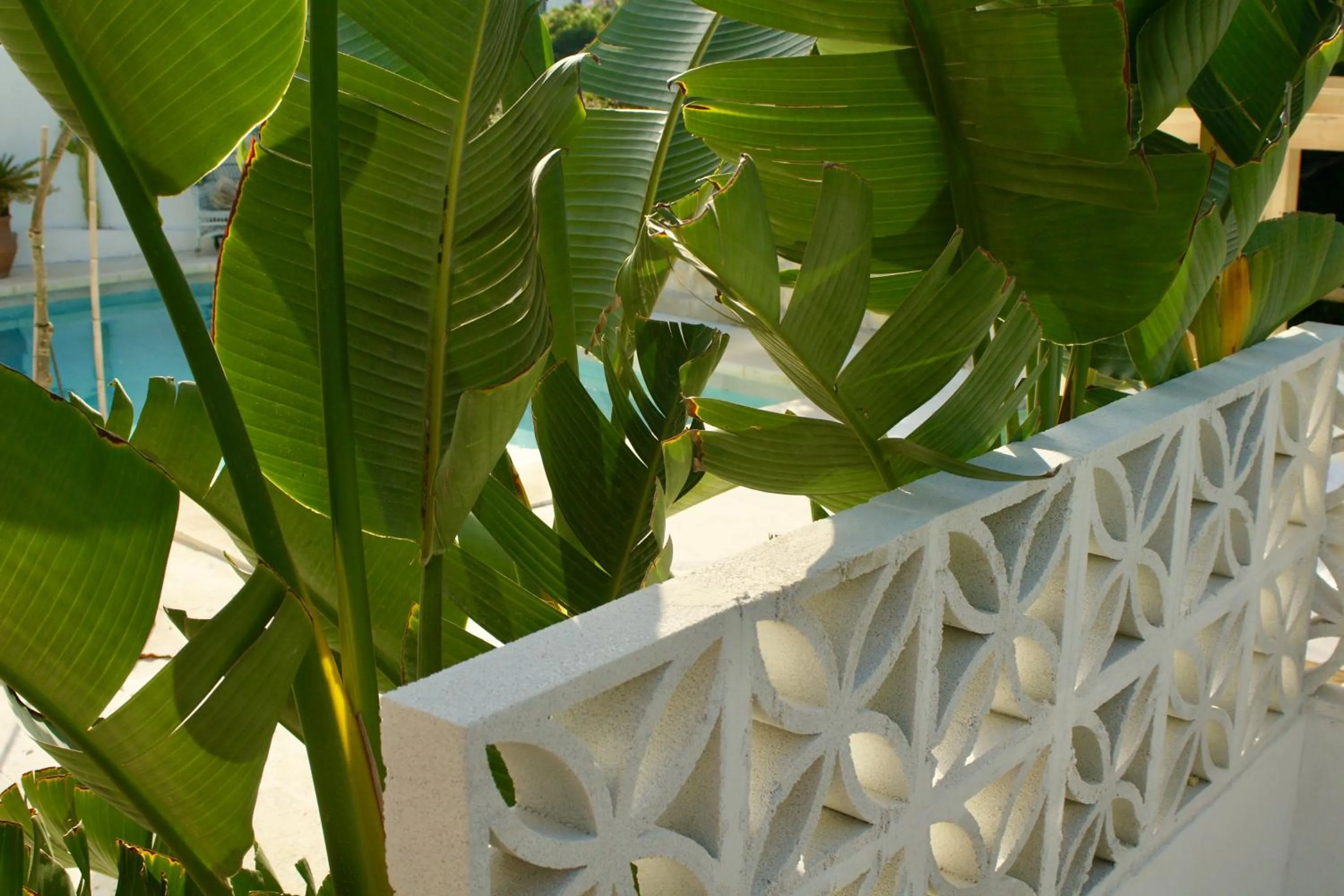 Swimming pool in Finca Mil Estrellas