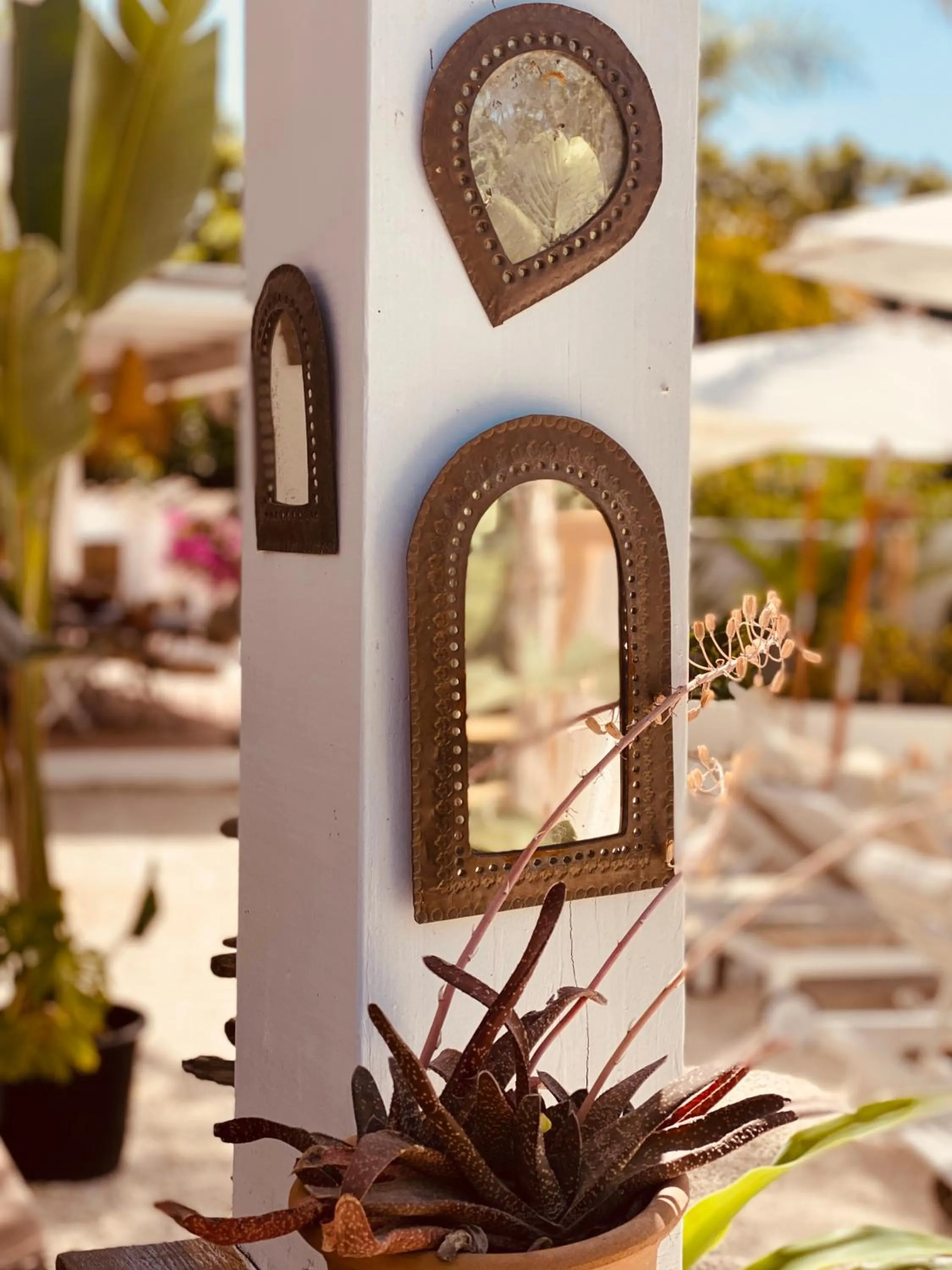 Lounge or bar in Finca Mil Estrellas