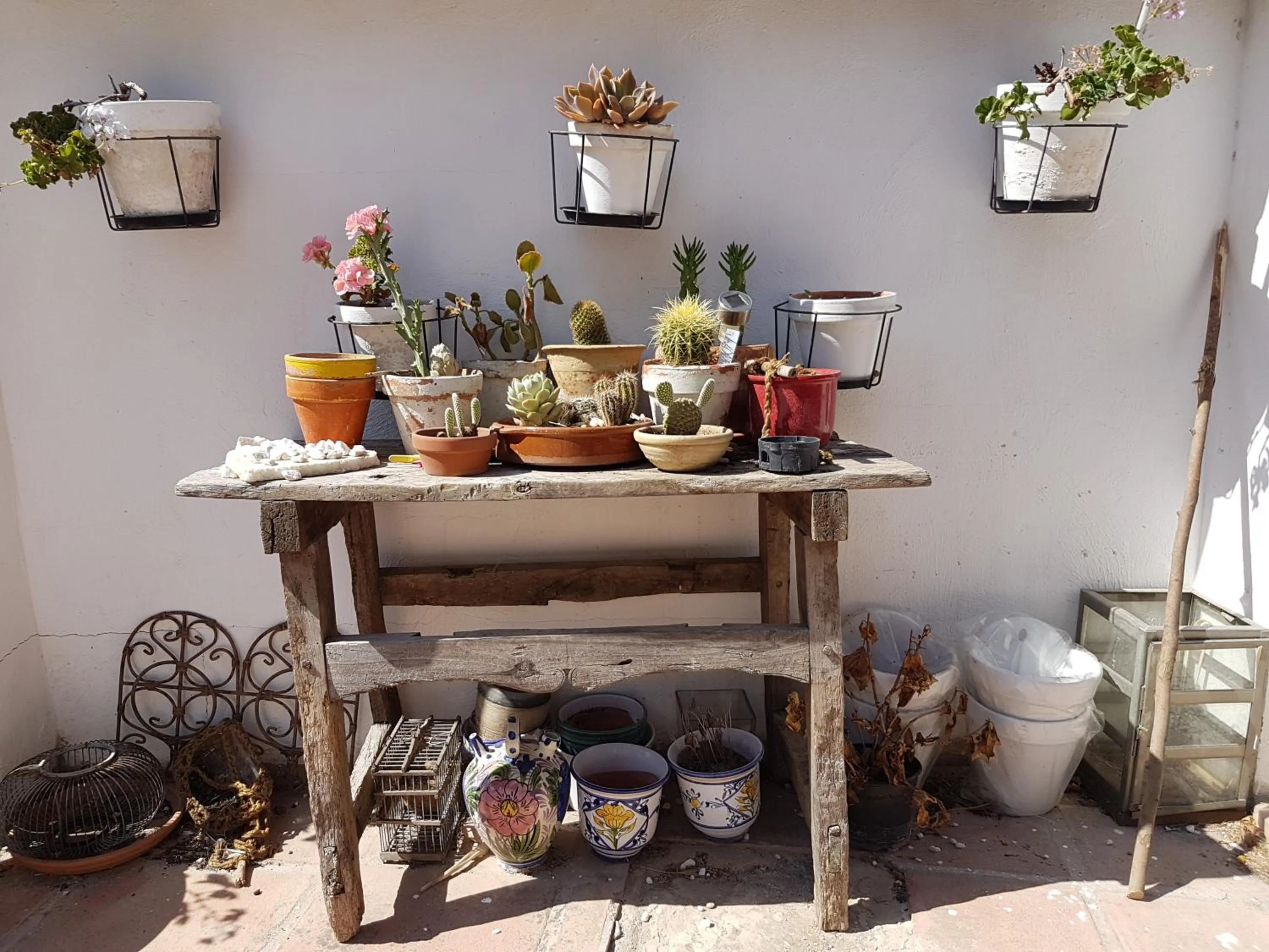 Decorative detail in Finca Mil Estrellas
