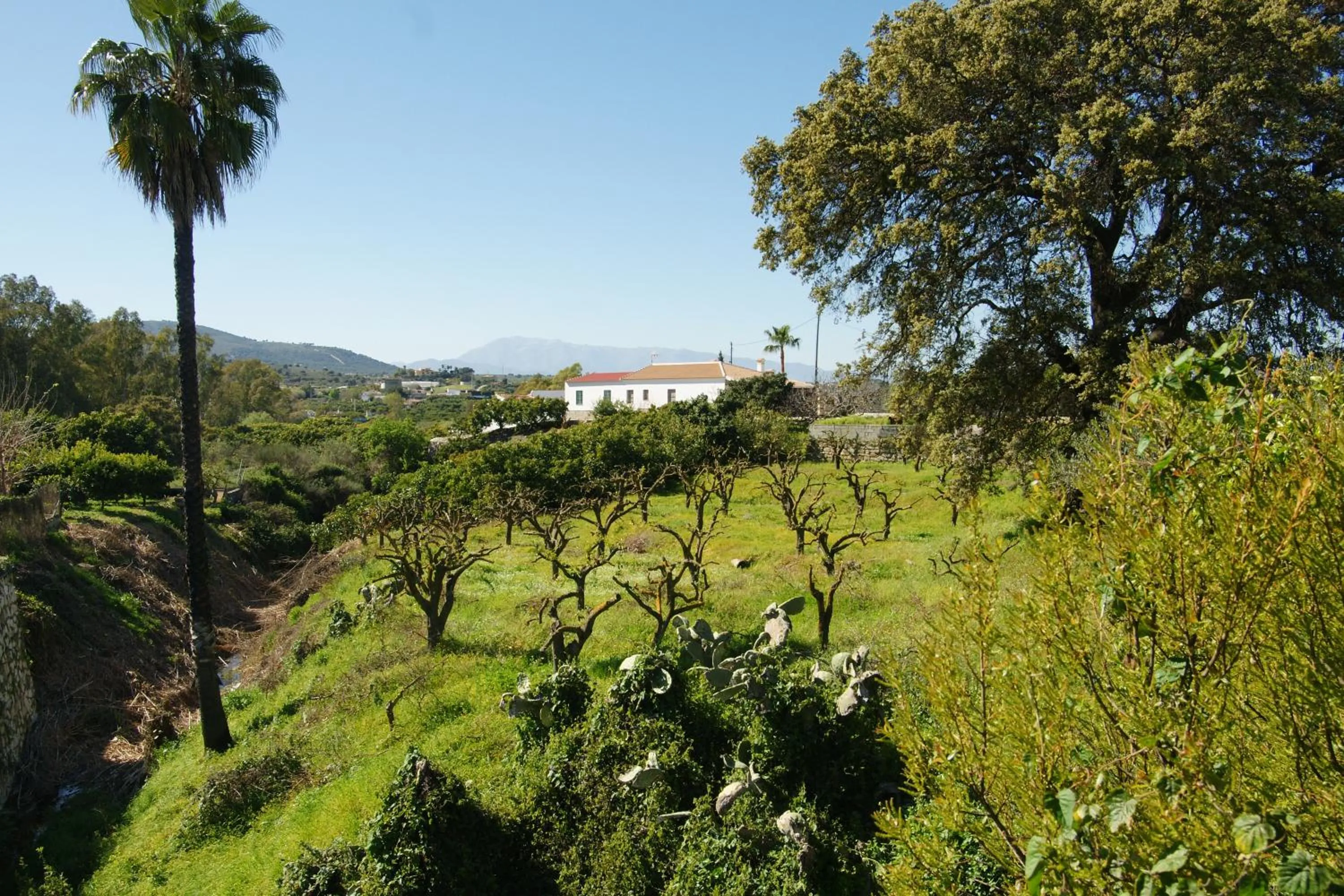Mountain view in Finca Mil Estrellas