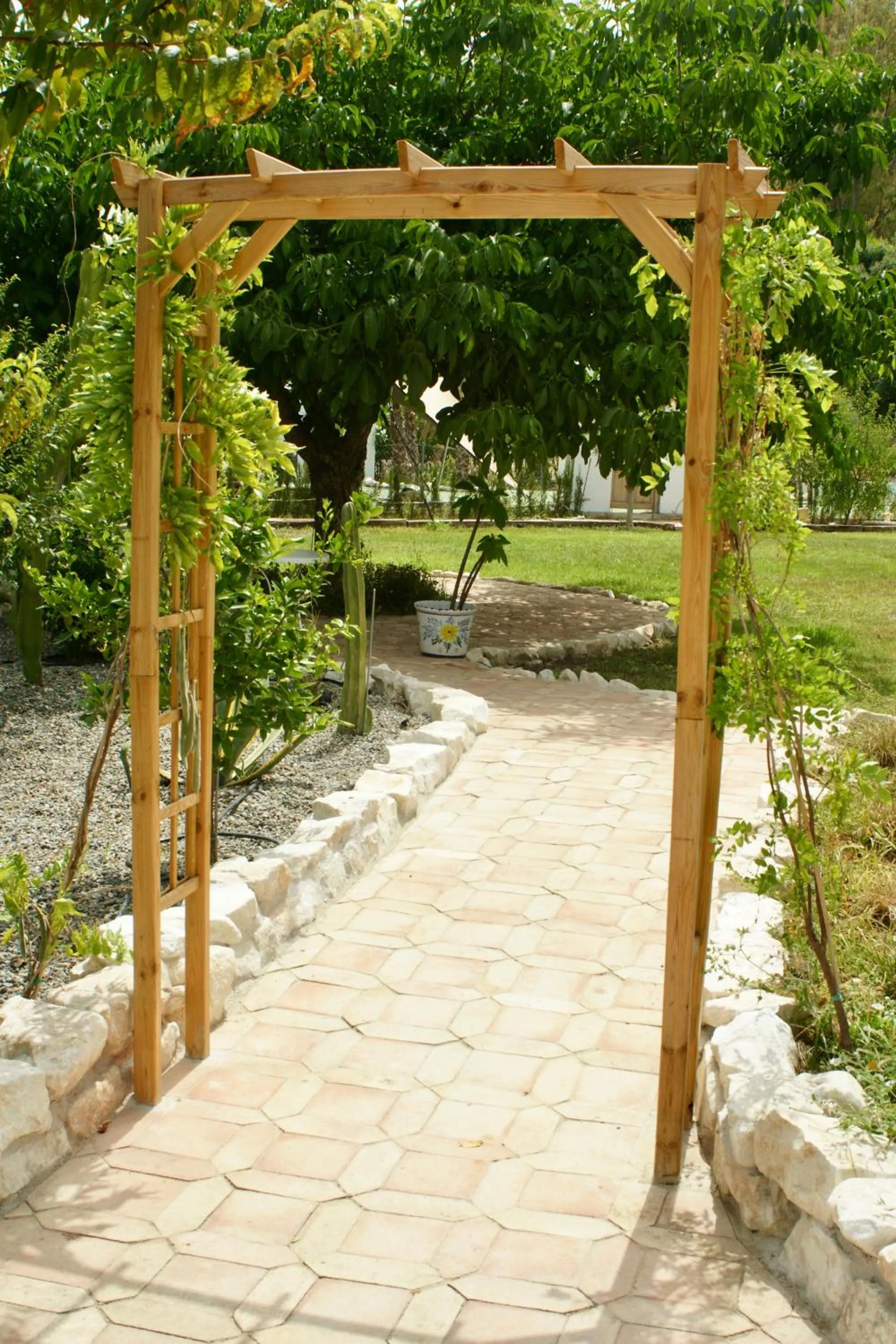 Garden in Finca Mil Estrellas