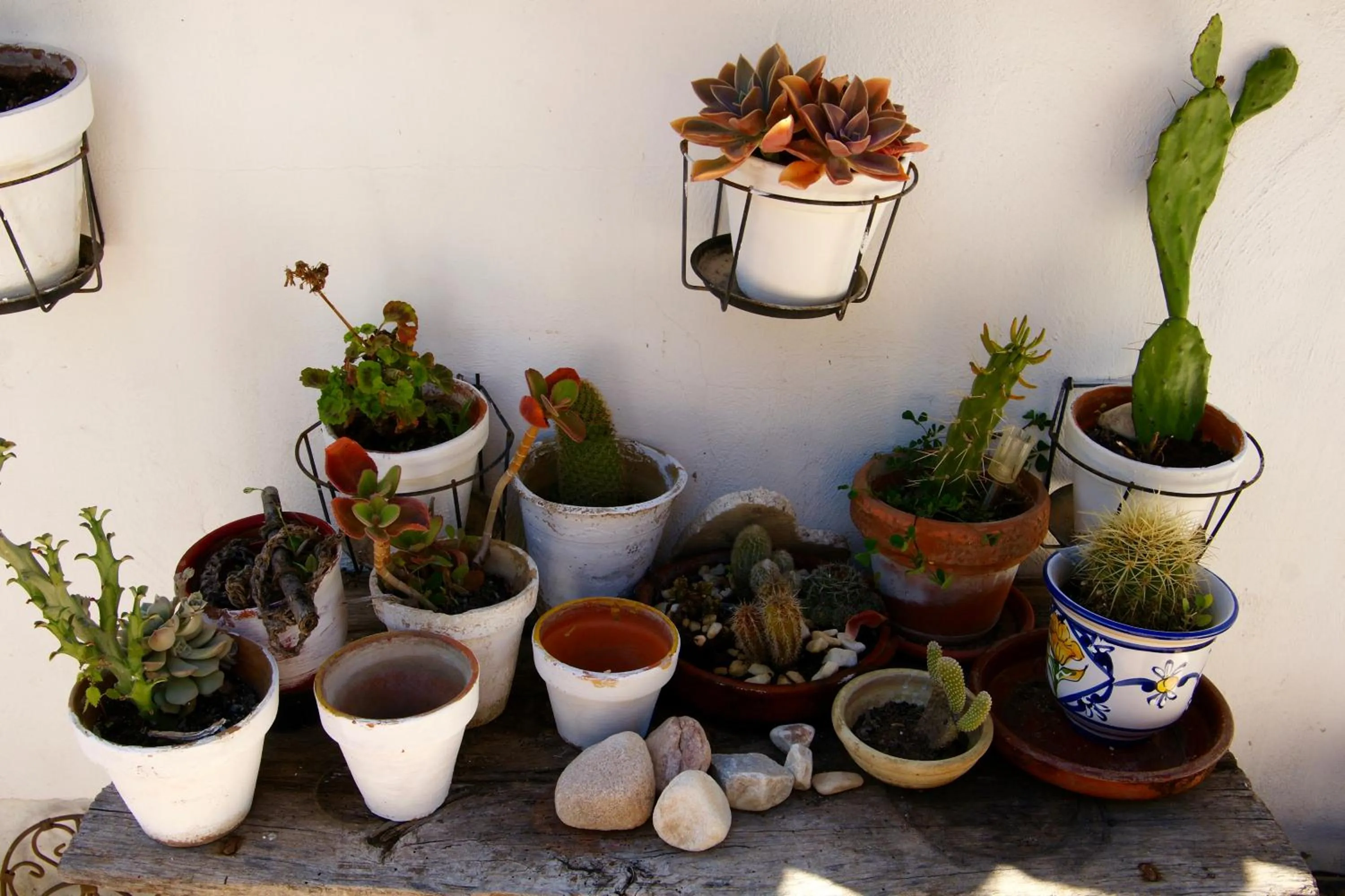 Decorative detail in Finca Mil Estrellas