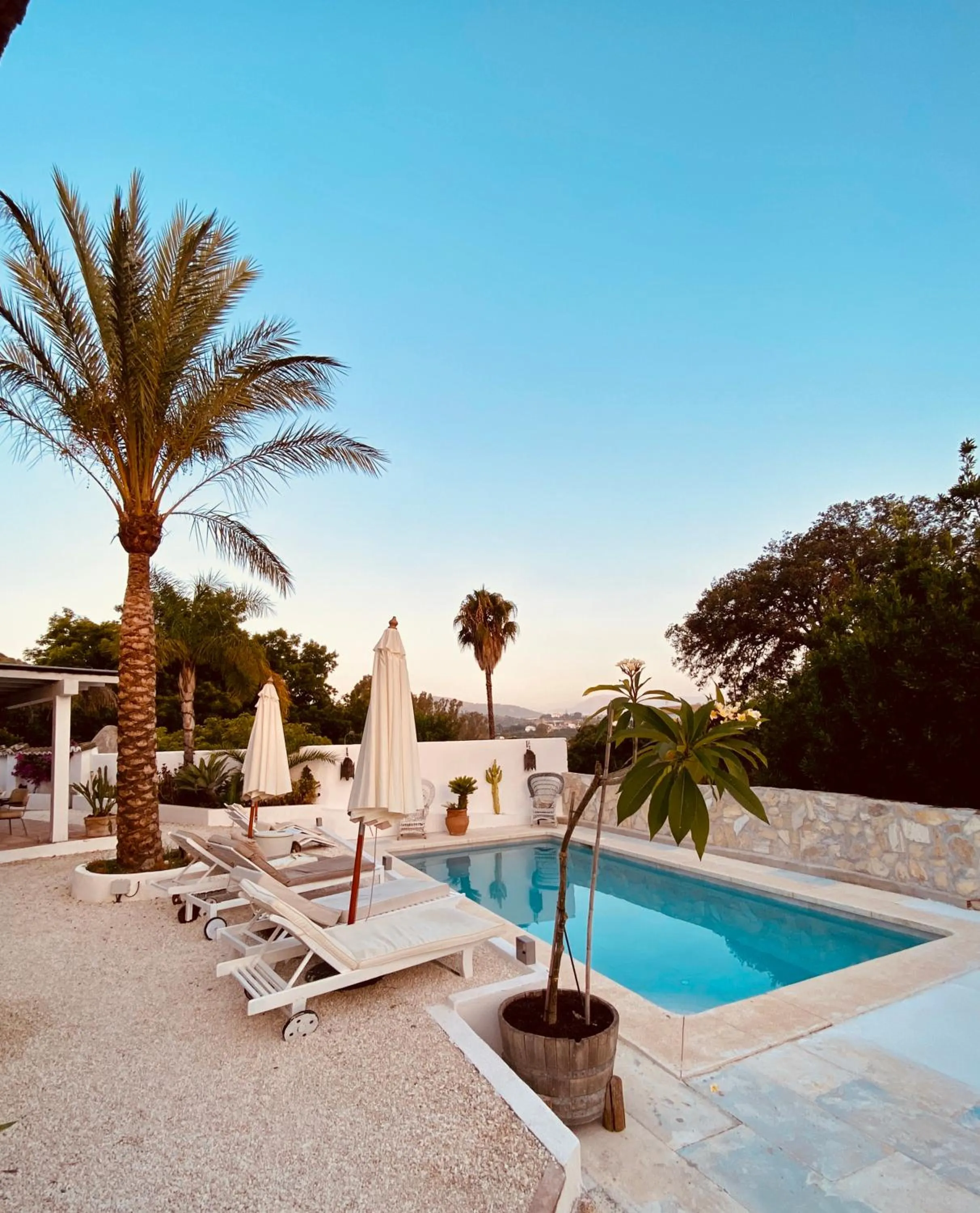 Balcony/Terrace in Finca Mil Estrellas