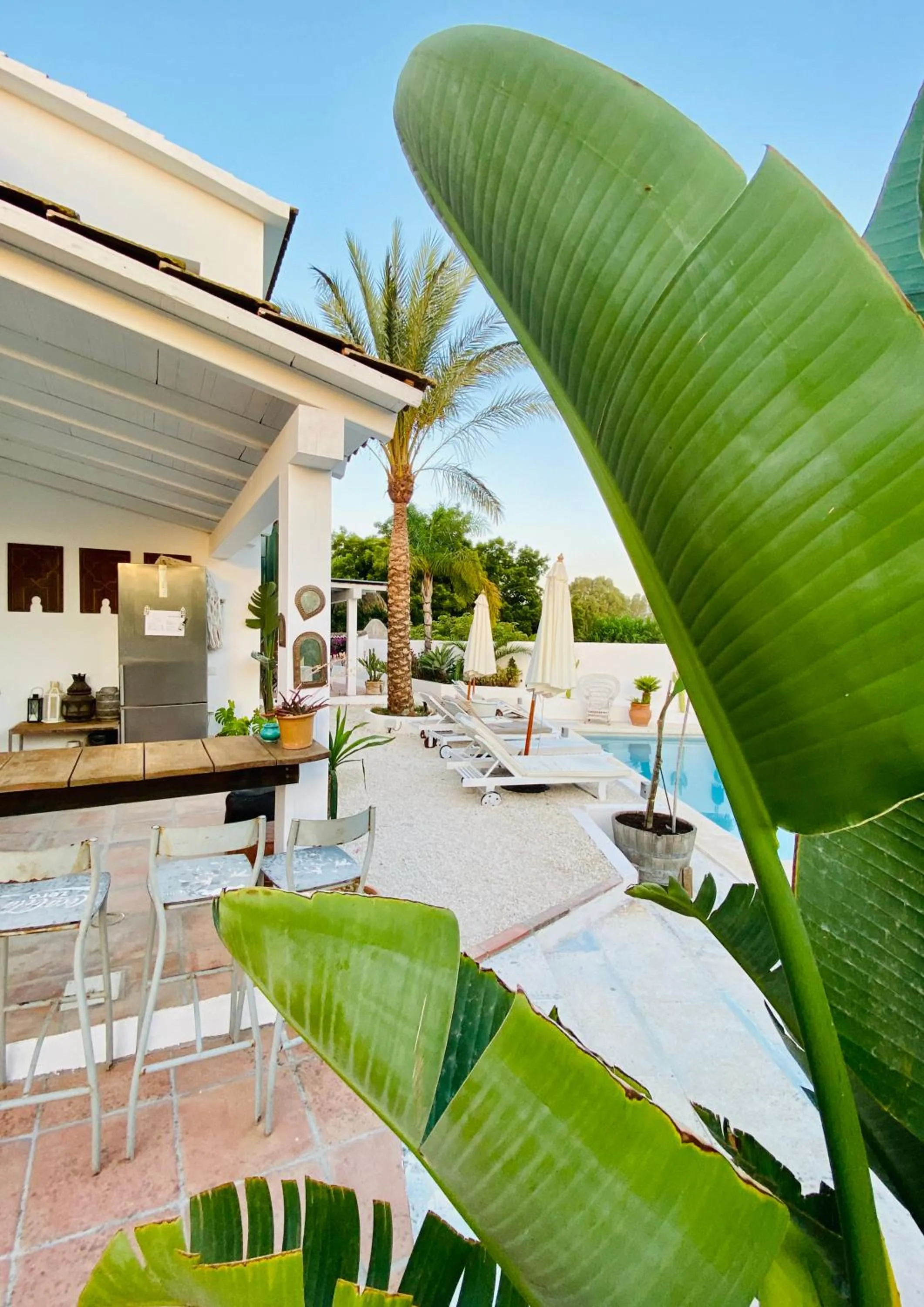 Pool view in Finca Mil Estrellas