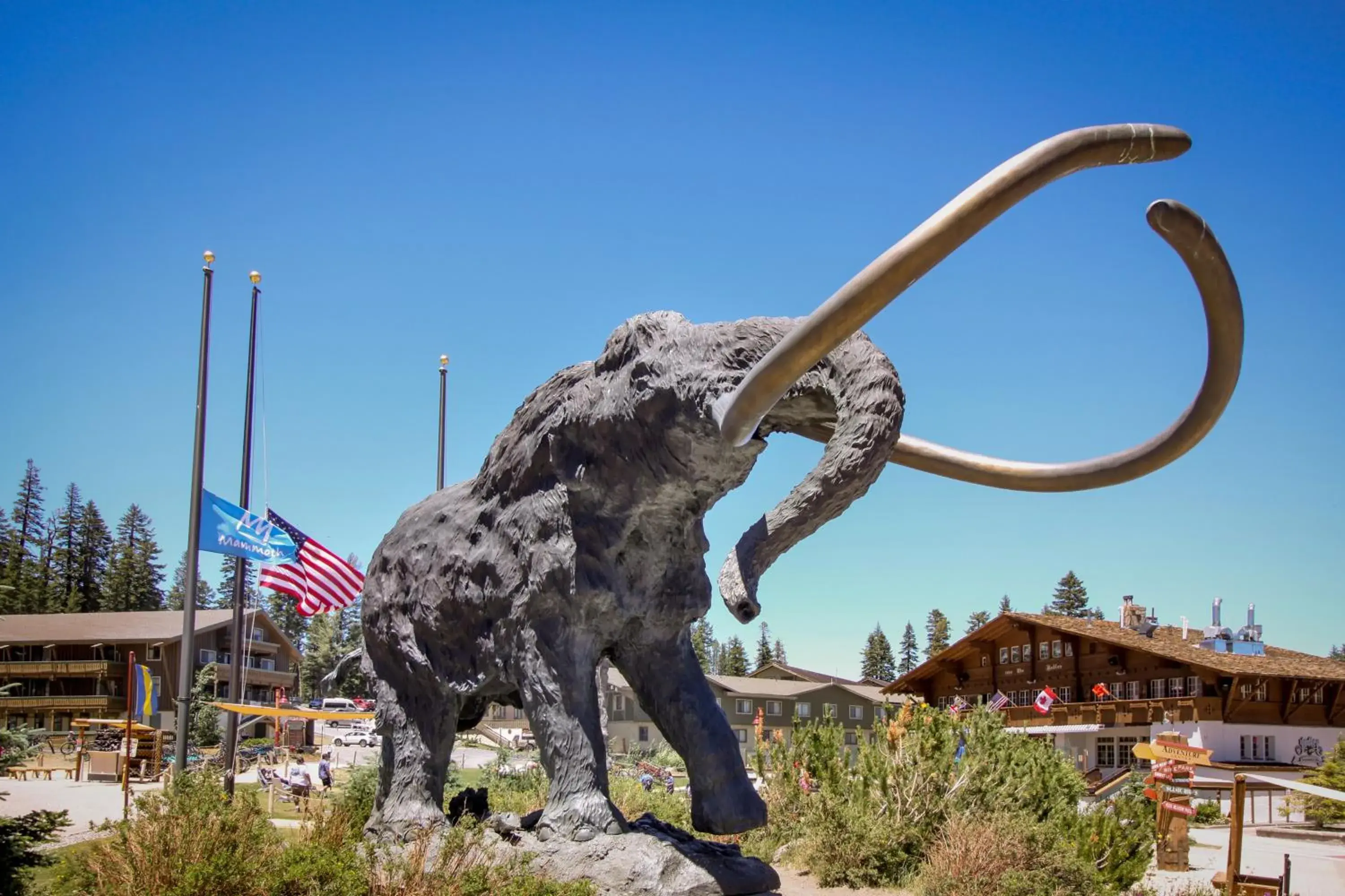 Mammoth Ski & Racquet 124 Mammoth Ski & Racquet 124