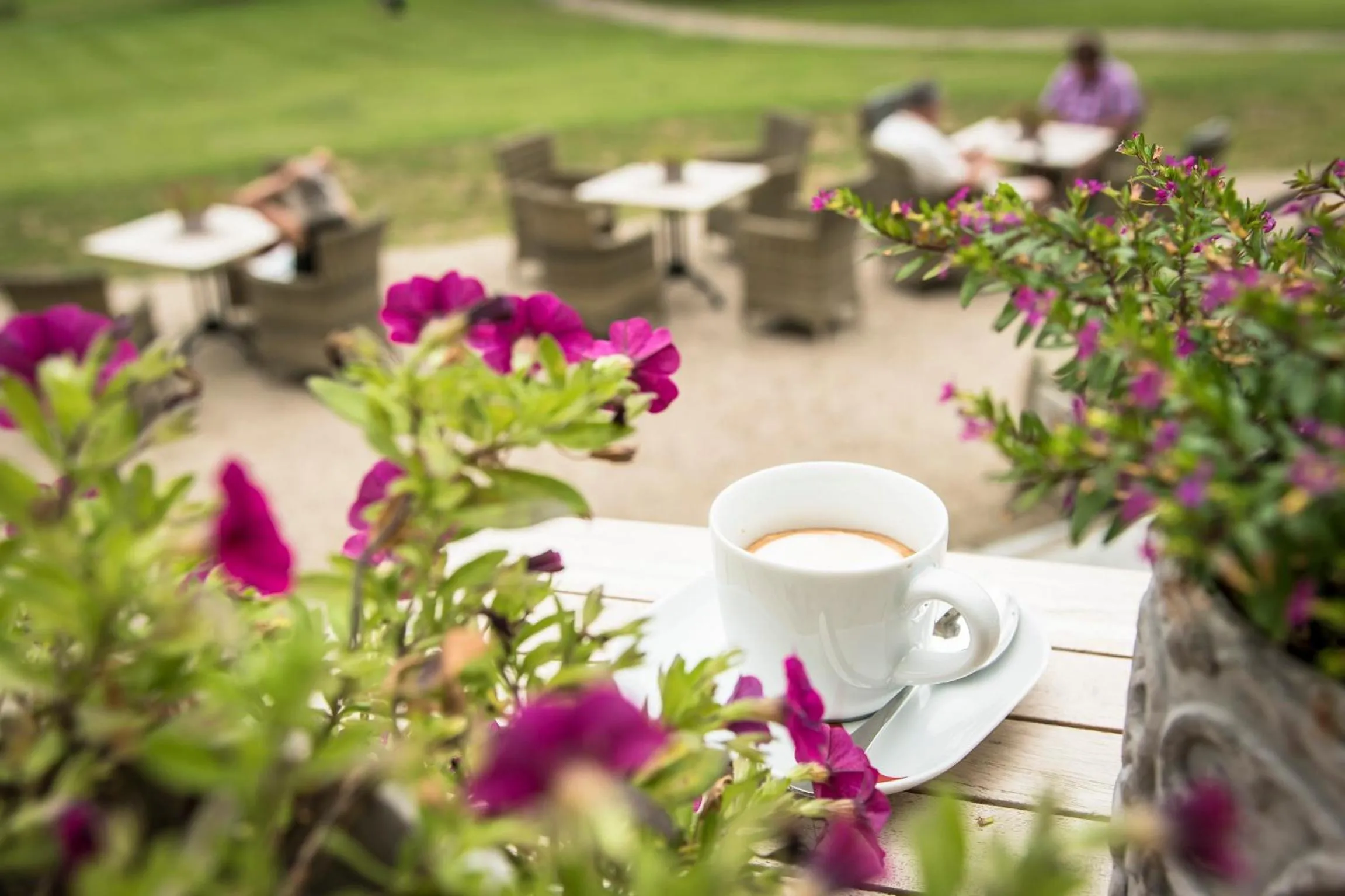 Restaurant/places to eat in Schloss Kaarz mit Park