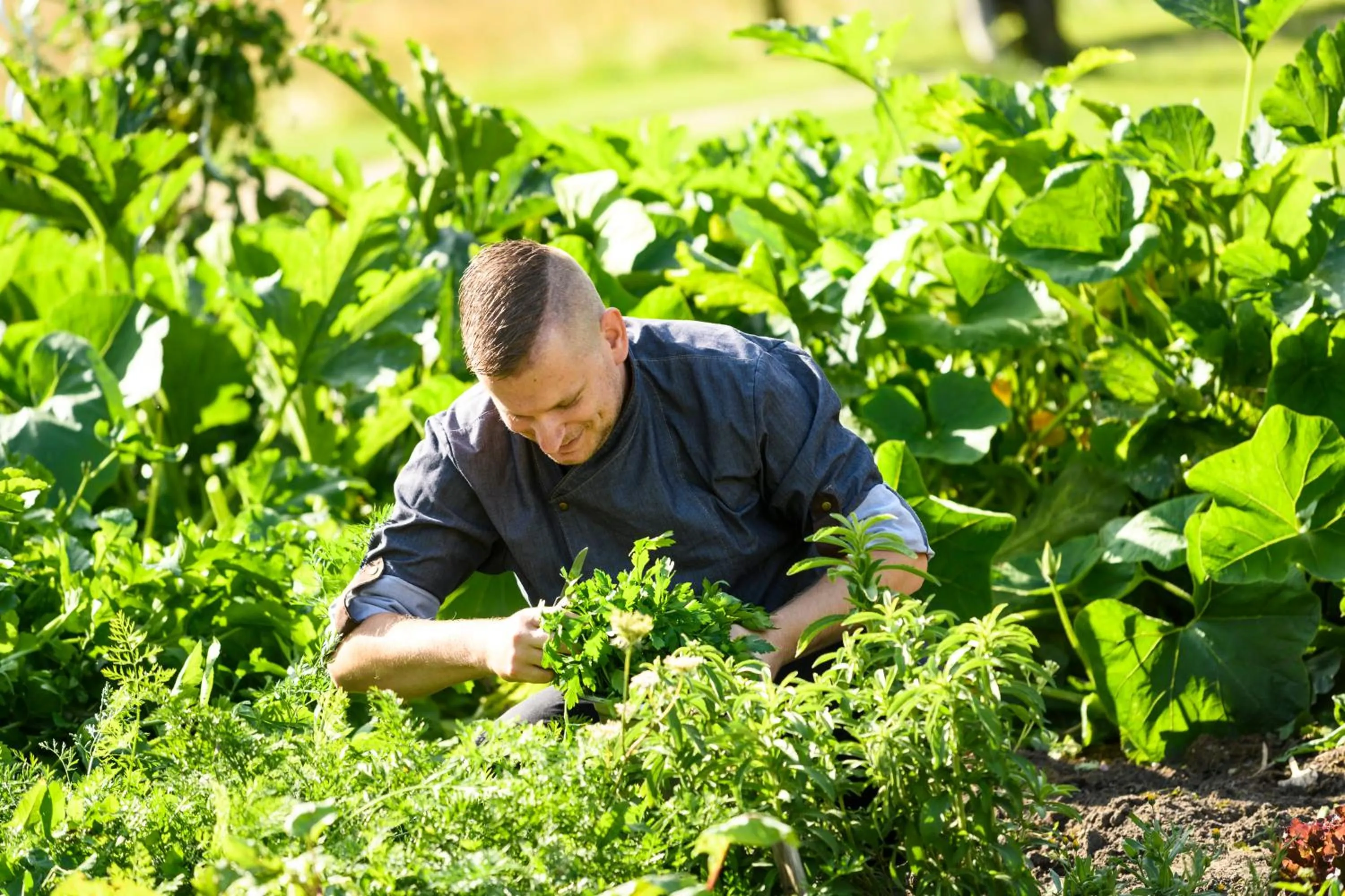 Garden in Schloss Kaarz mit Park