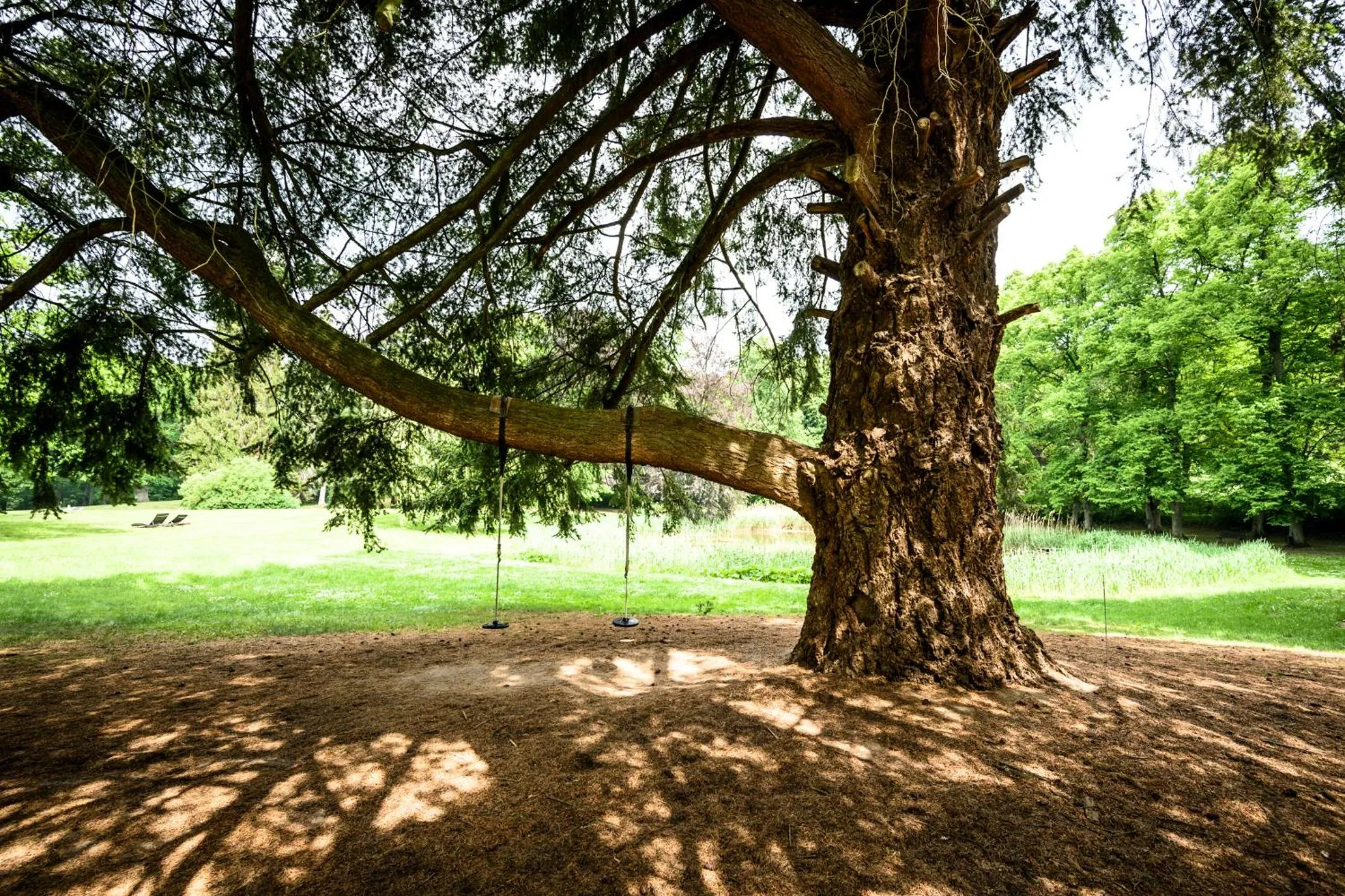 Natural landscape in Schloss Kaarz mit Park