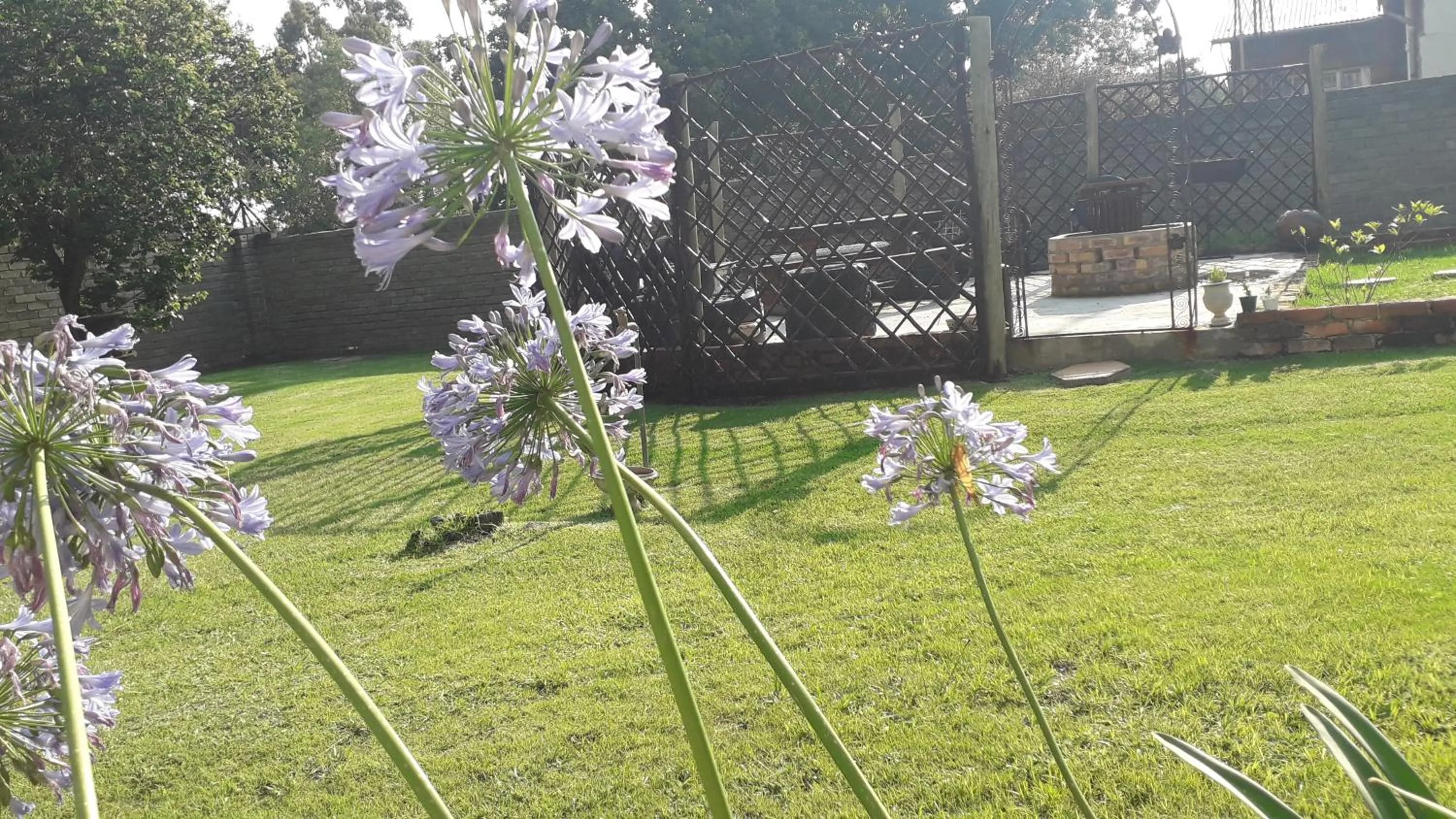 Natural landscape in Lallapanzi Country Stay