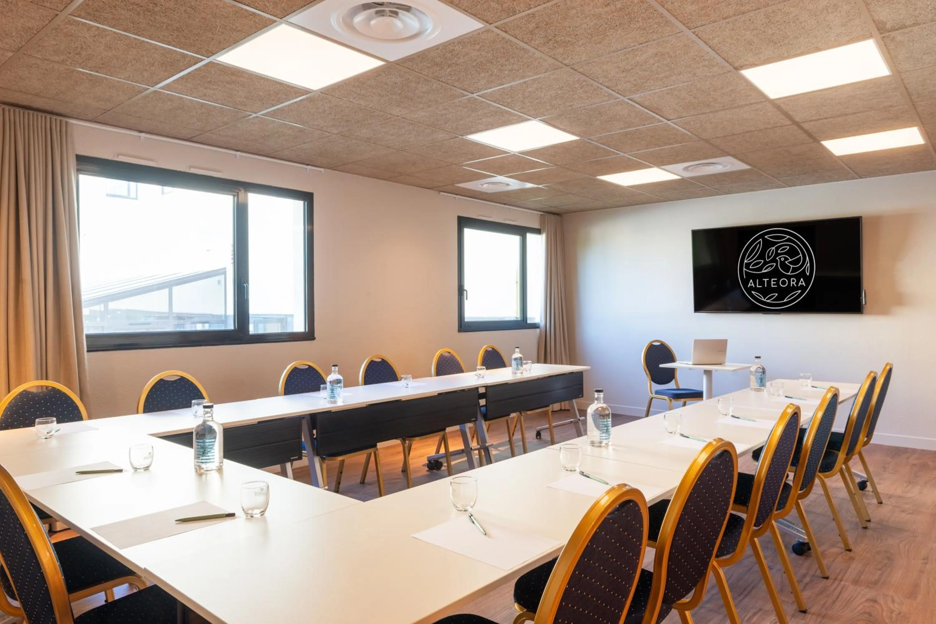 Meeting/conference room in The Originals City, Hôtel Alteora, Poitiers Site du Futuroscope