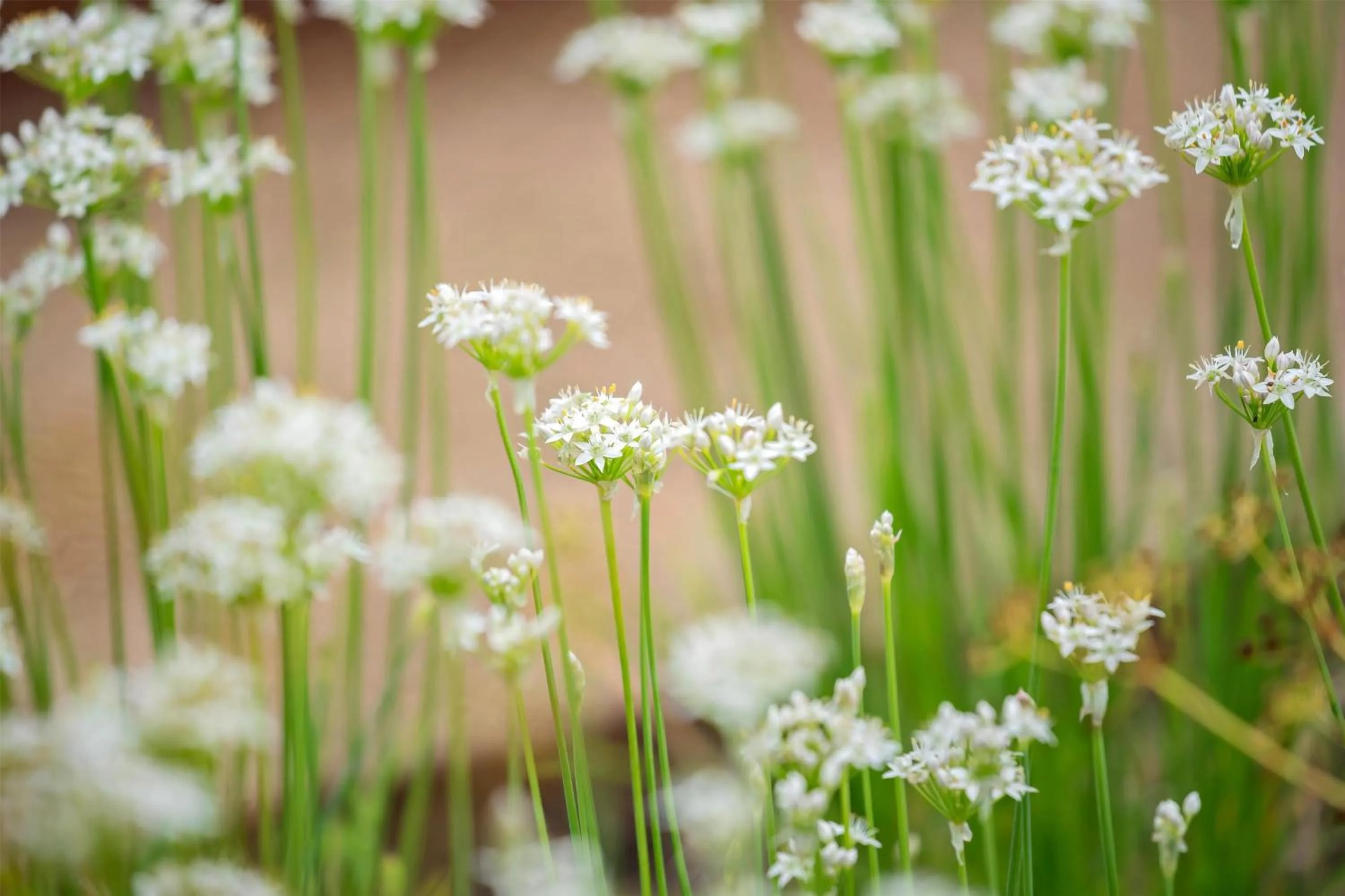 Property building in Best Western Hotel Hillerød