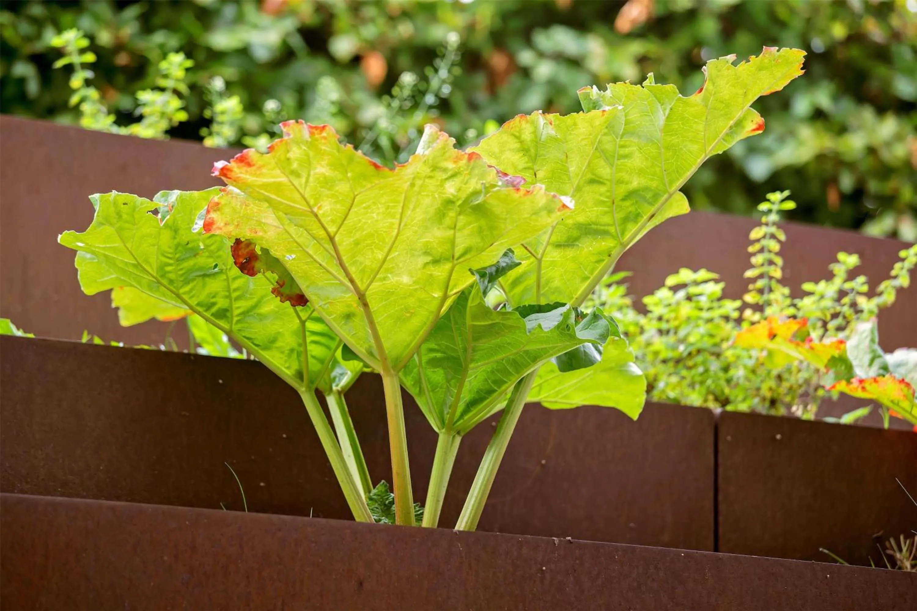 Property building in Best Western Hotel Hillerød