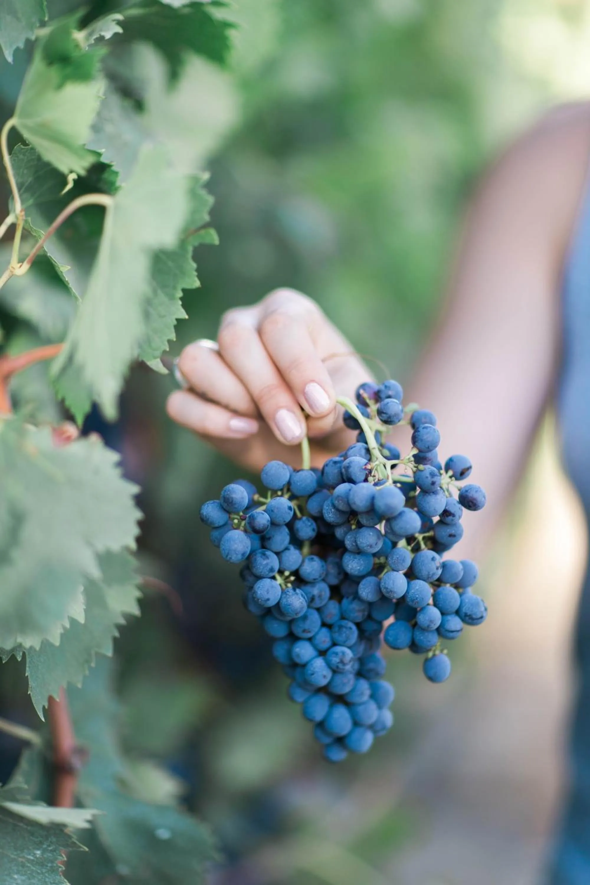 Staff in Villa Le Calvane