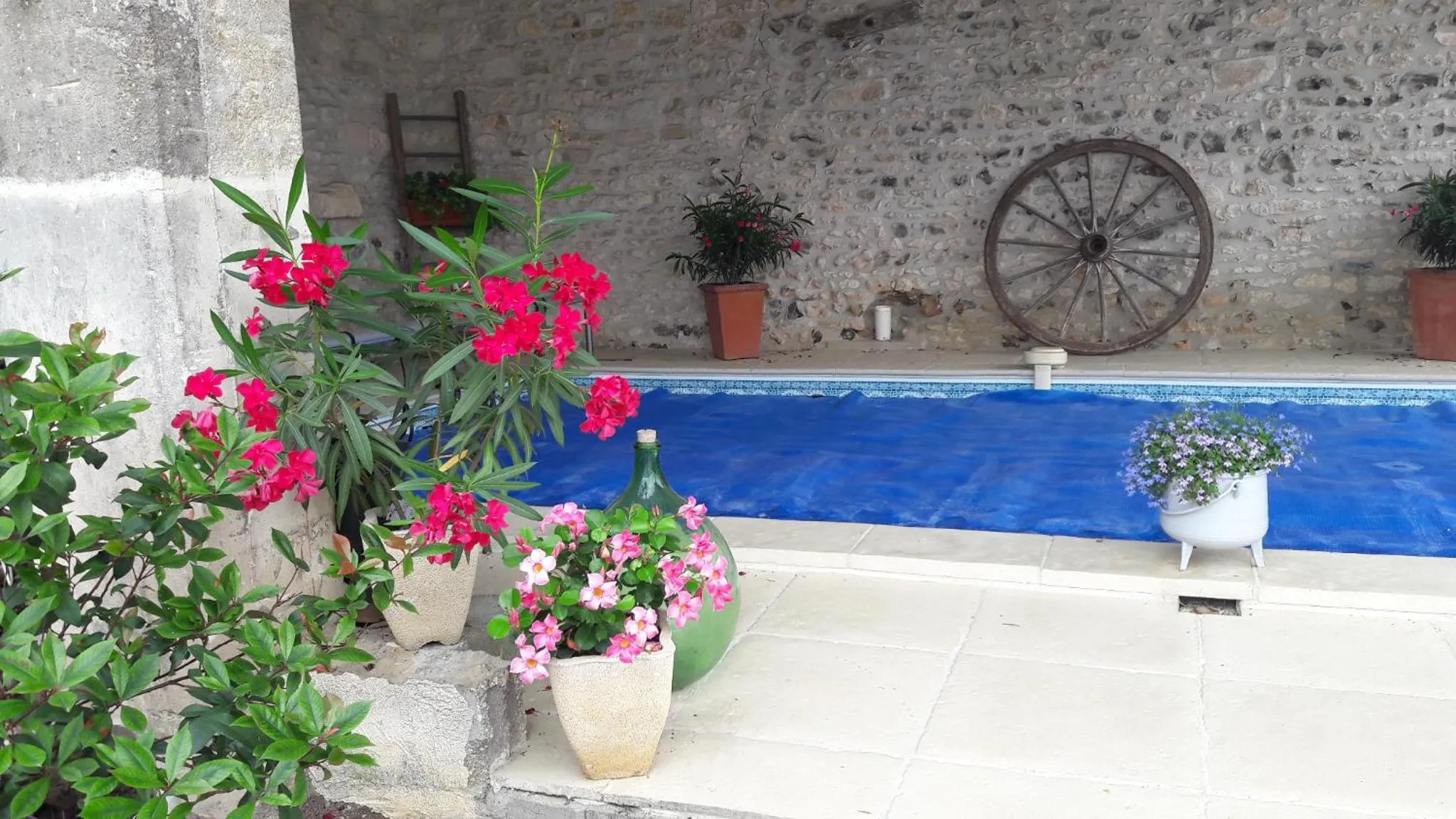 Swimming pool in La charentaise ch d'hôtes ,Studio