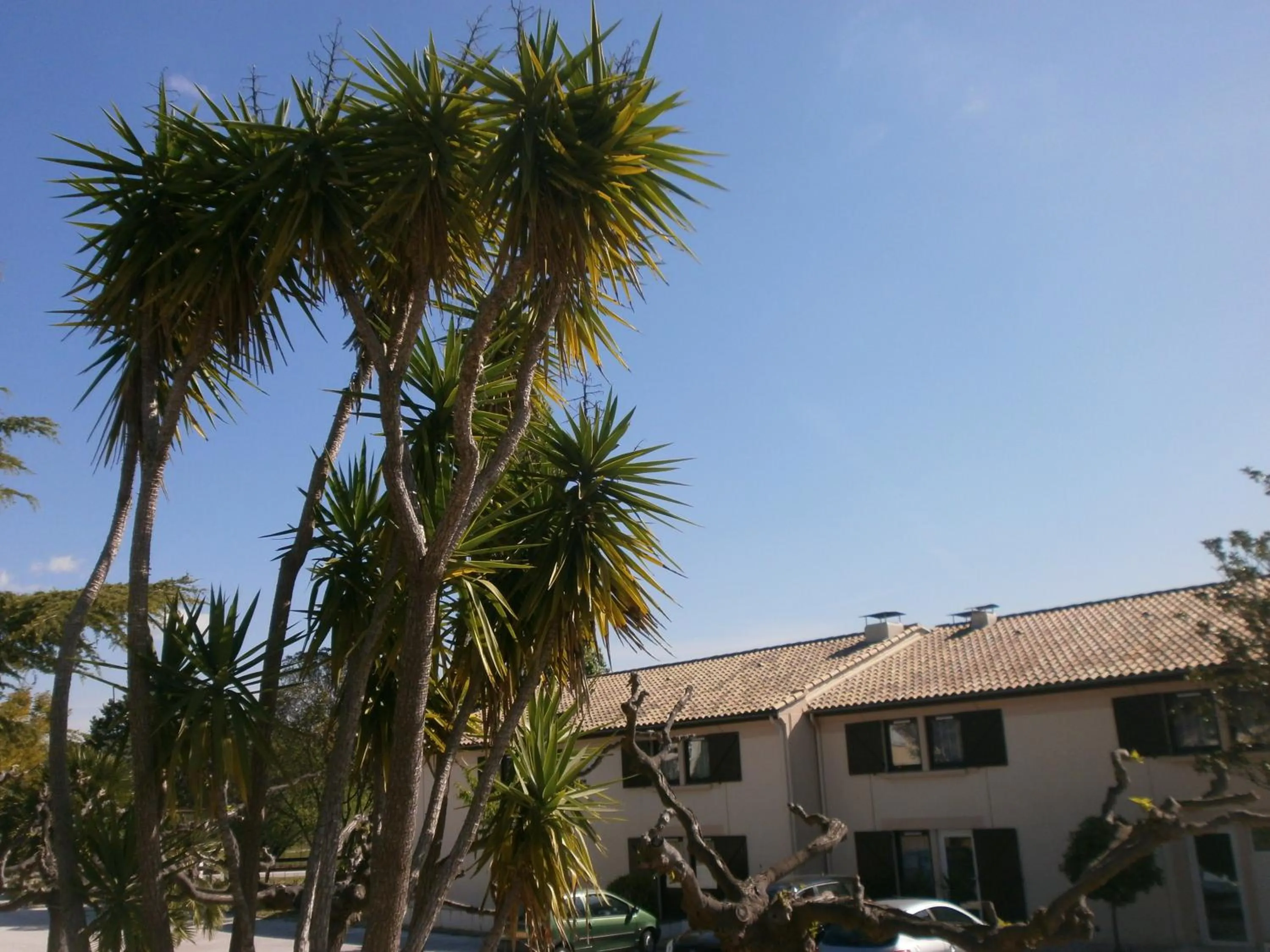 Facade/entrance in Hotel Le Coudon