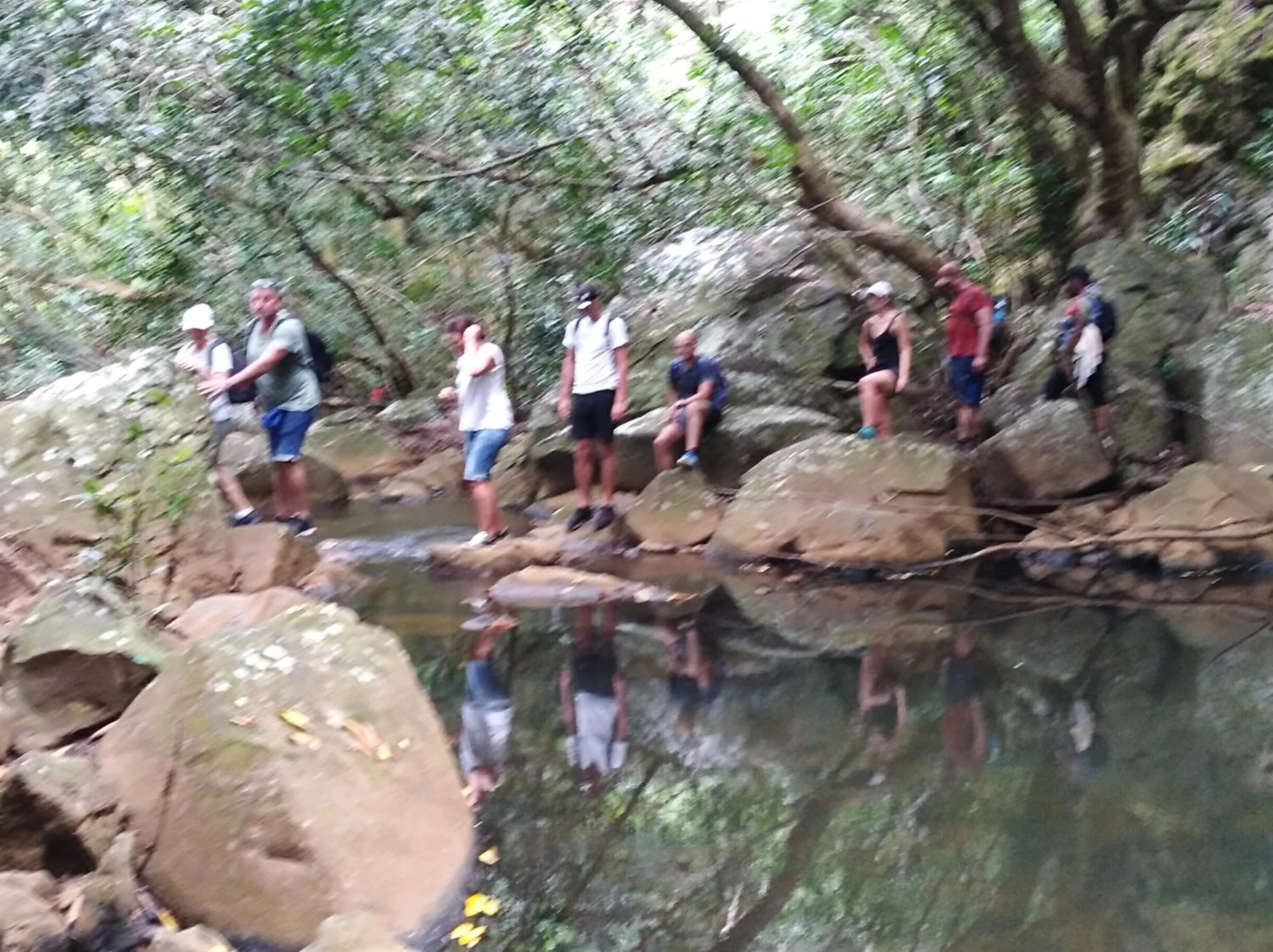 Green Discovery B&B Tamarind Falls 7 Cascades