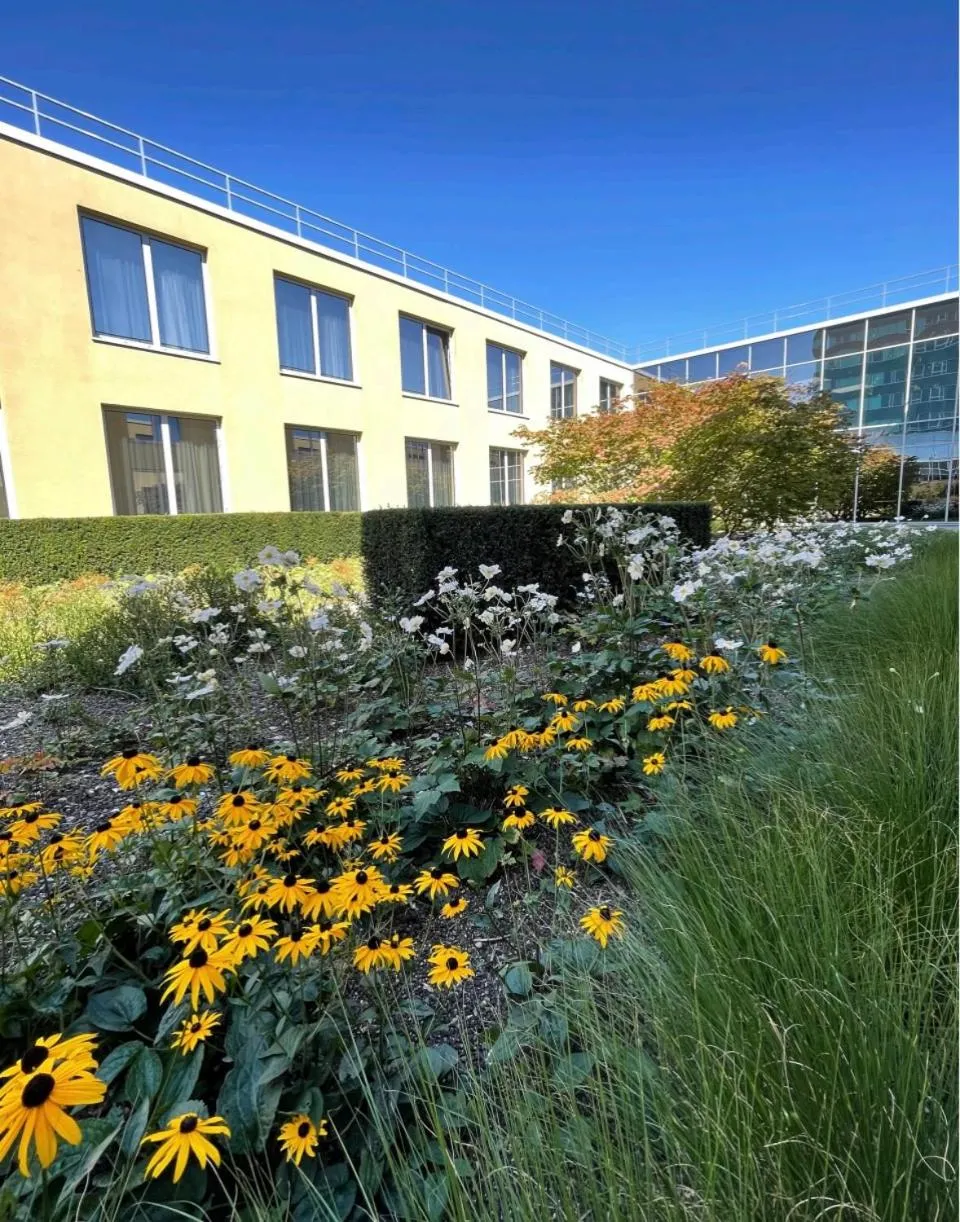 Carathotel Düsseldorf City